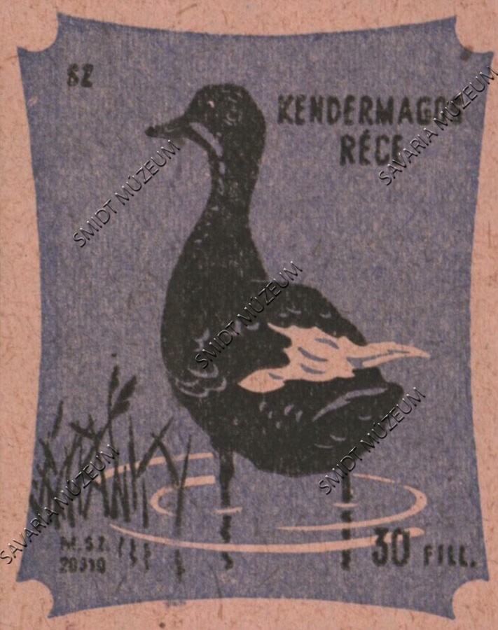Gyufacímke, Vízimadarak, Kendermagos réce (Smidt Múzeum, Szombathely CC BY-NC-SA)