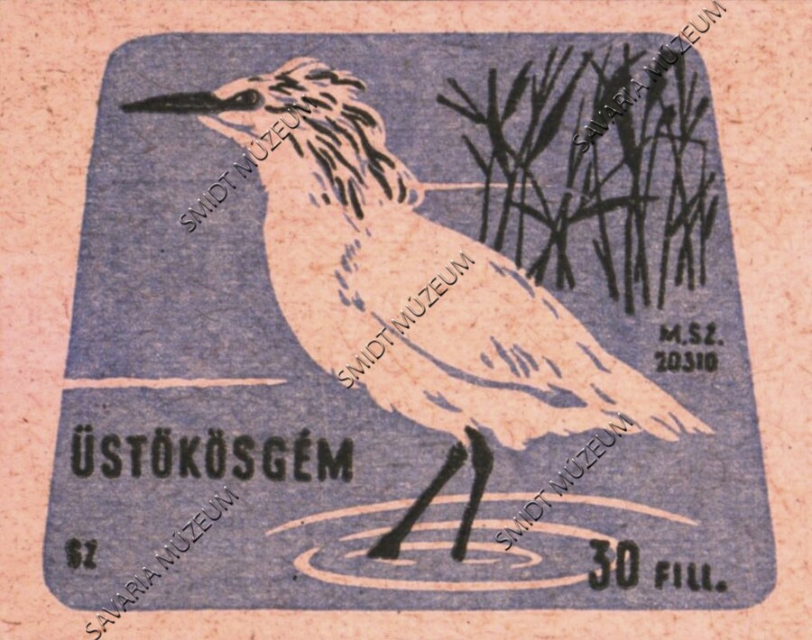Gyufacímke, Vízimadarak, Üstökösgém (Smidt Múzeum, Szombathely CC BY-NC-SA)