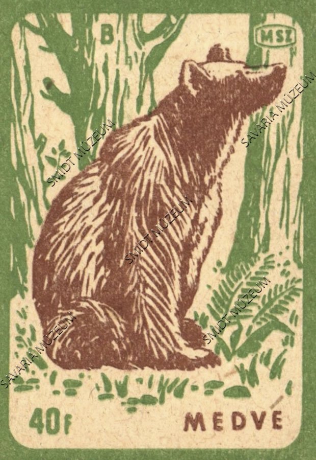 Gyufacímke, Erdei állatok, Medve (Smidt Múzeum, Szombathely CC BY-NC-SA)