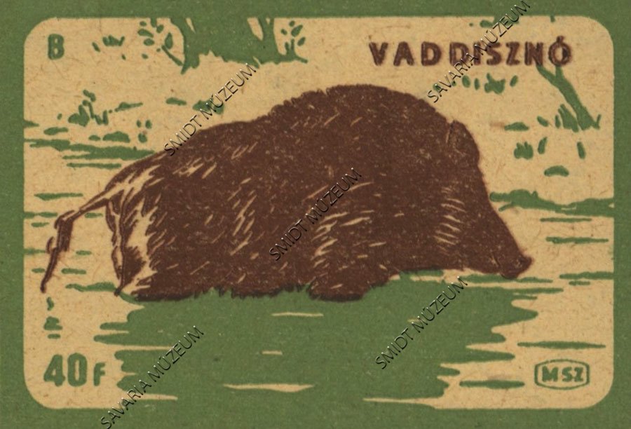 Gyufacímke, Erdei állatok, Vaddisznó (Smidt Múzeum, Szombathely CC BY-NC-SA)