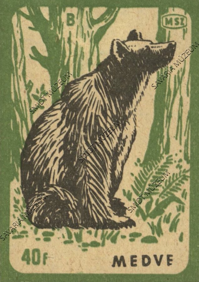Gyufacímke, Erdei állatok, Medve (Smidt Múzeum, Szombathely CC BY-NC-SA)