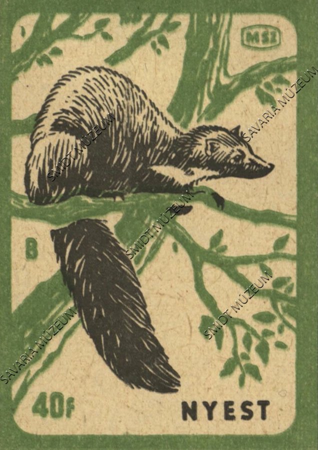 Gyufacímke, Erdei állatok, Nyest (Smidt Múzeum, Szombathely CC BY-NC-SA)