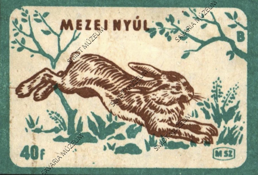 Gyufacímke, Erdei állatok, Mezei nyúl (Smidt Múzeum, Szombathely CC BY-NC-SA)