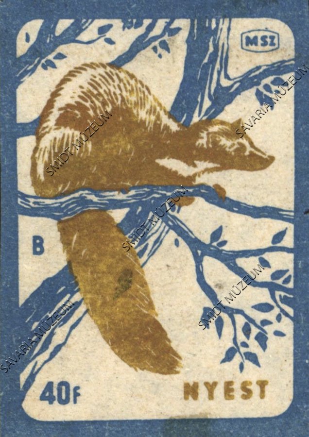 Gyufacímke, Erdei állatok, Nyest (Smidt Múzeum, Szombathely CC BY-NC-SA)