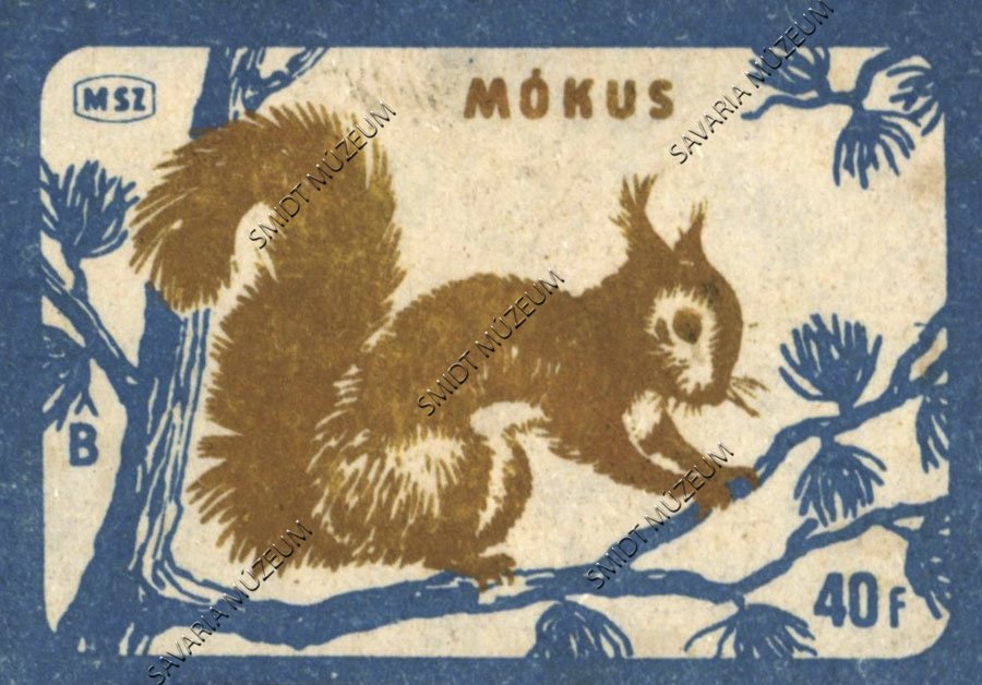 Gyufacímke, Erdei állatok, Mókus (Smidt Múzeum, Szombathely CC BY-NC-SA)