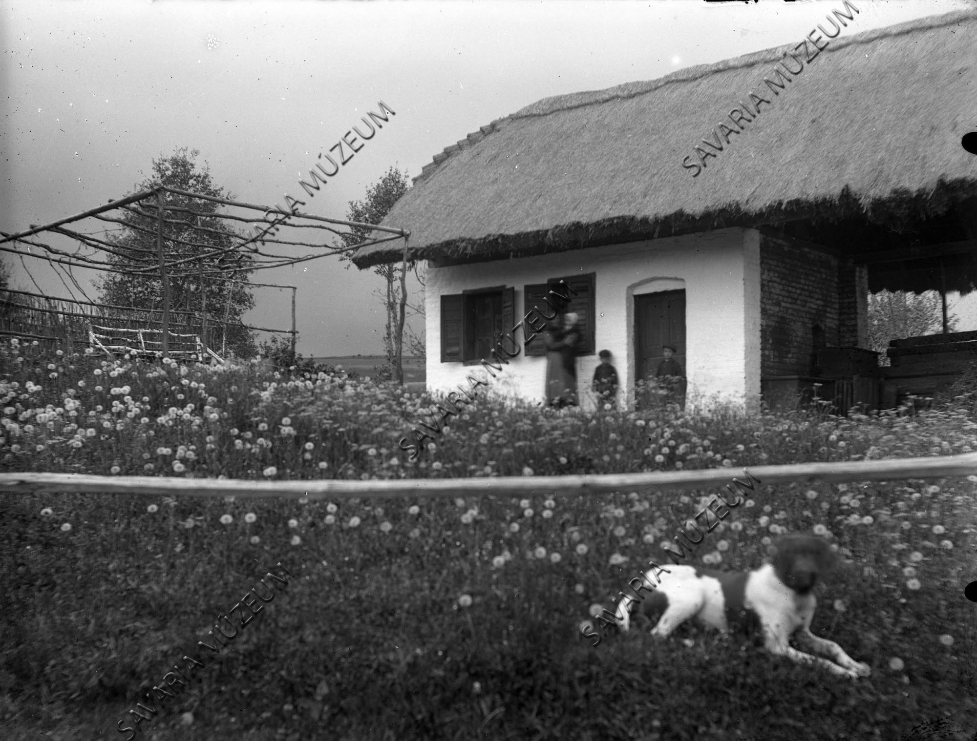 Falusi ház láncvirágos és kapros réttel (Savaria Megyei Hatókörű Városi Múzeum, Szombathely CC BY-NC-SA)