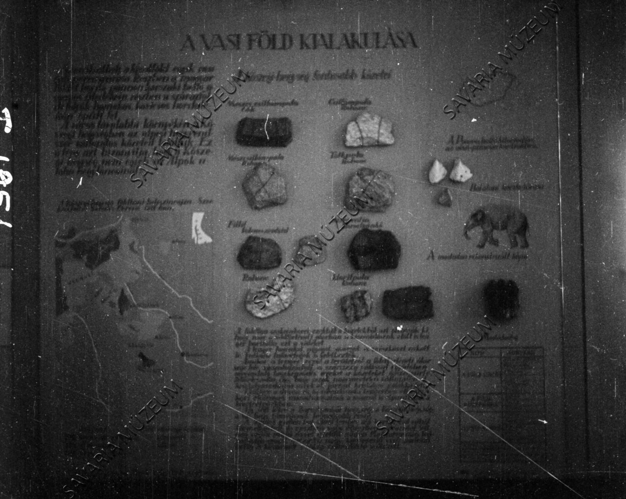 Geológiai kiállítás - részlet (Savaria Megyei Hatókörű Városi Múzeum, Szombathely CC BY-NC-SA)
