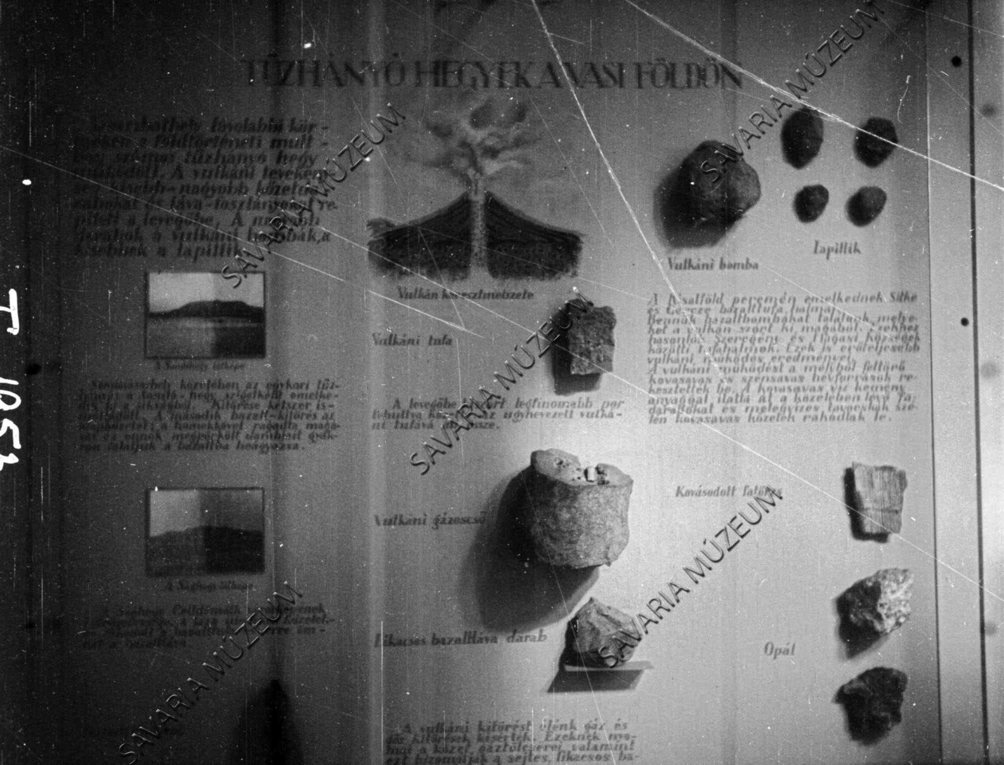Geológiai kiállítás - részlet (Savaria Megyei Hatókörű Városi Múzeum, Szombathely CC BY-NC-SA)