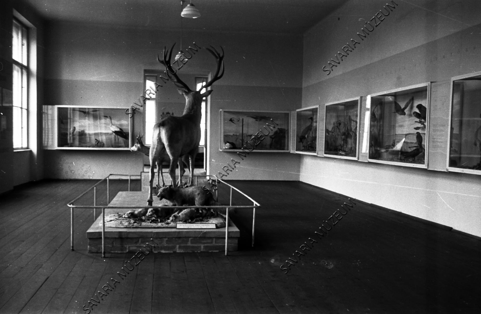 Kiállítás részlet (Savaria Megyei Hatókörű Városi Múzeum, Szombathely CC BY-NC-SA)