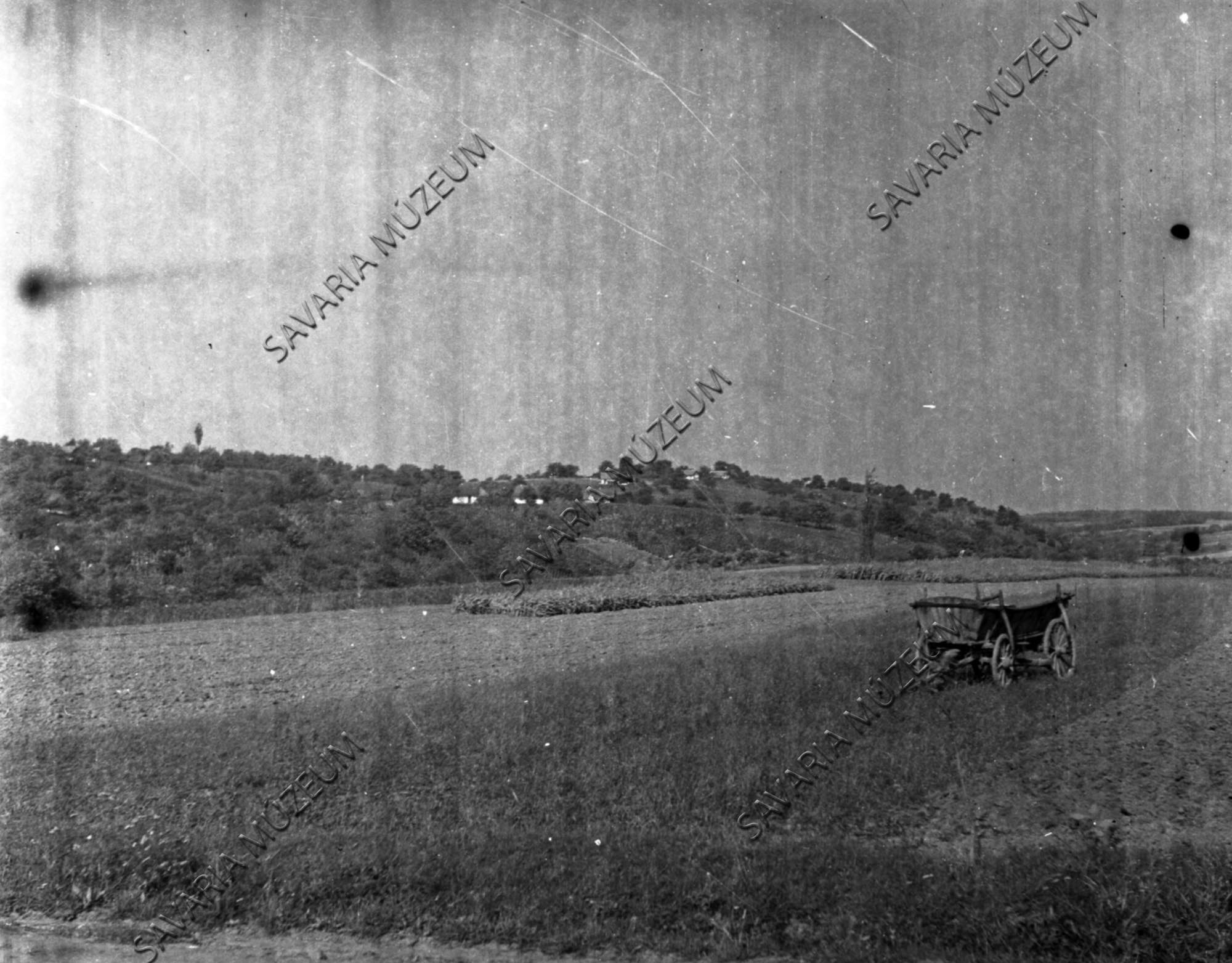 Szőlőhegyi látkép az országútról (Savaria Megyei Hatókörű Városi Múzeum, Szombathely CC BY-NC-SA)