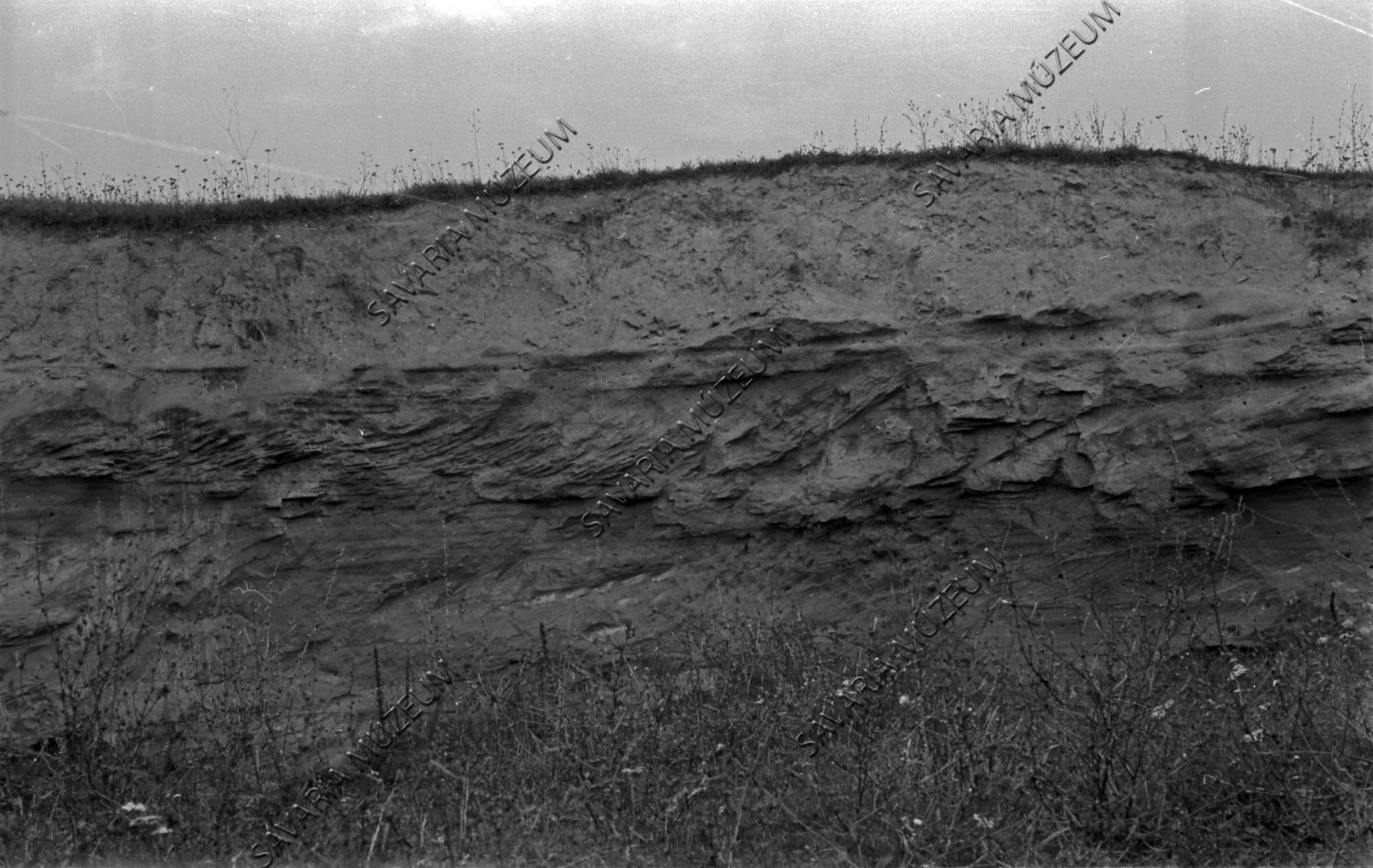 Homokbánya részlet (Savaria Megyei Hatókörű Városi Múzeum, Szombathely CC BY-NC-SA)