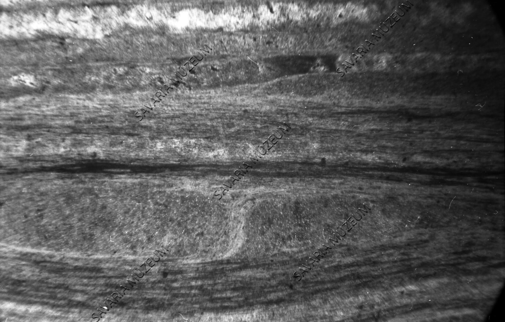 Kovásodott fatörzs érintő hosszmetszeti képe (Savaria Megyei Hatókörű Városi Múzeum, Szombathely CC BY-NC-SA)