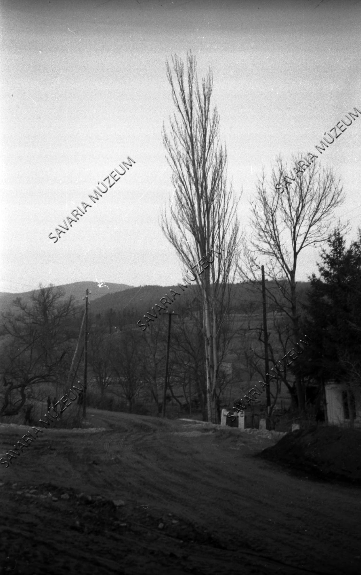 Nyírfa a falu végén (Savaria Megyei Hatókörű Városi Múzeum, Szombathely CC BY-NC-SA)