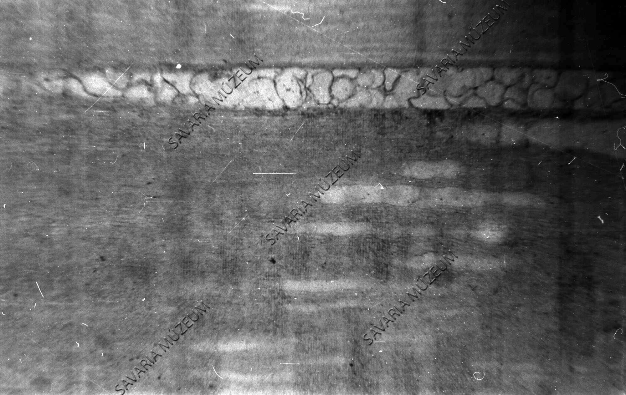 Kovásodott fatörzs sugár hosszmetszeti képe (Savaria Megyei Hatókörű Városi Múzeum, Szombathely CC BY-NC-SA)