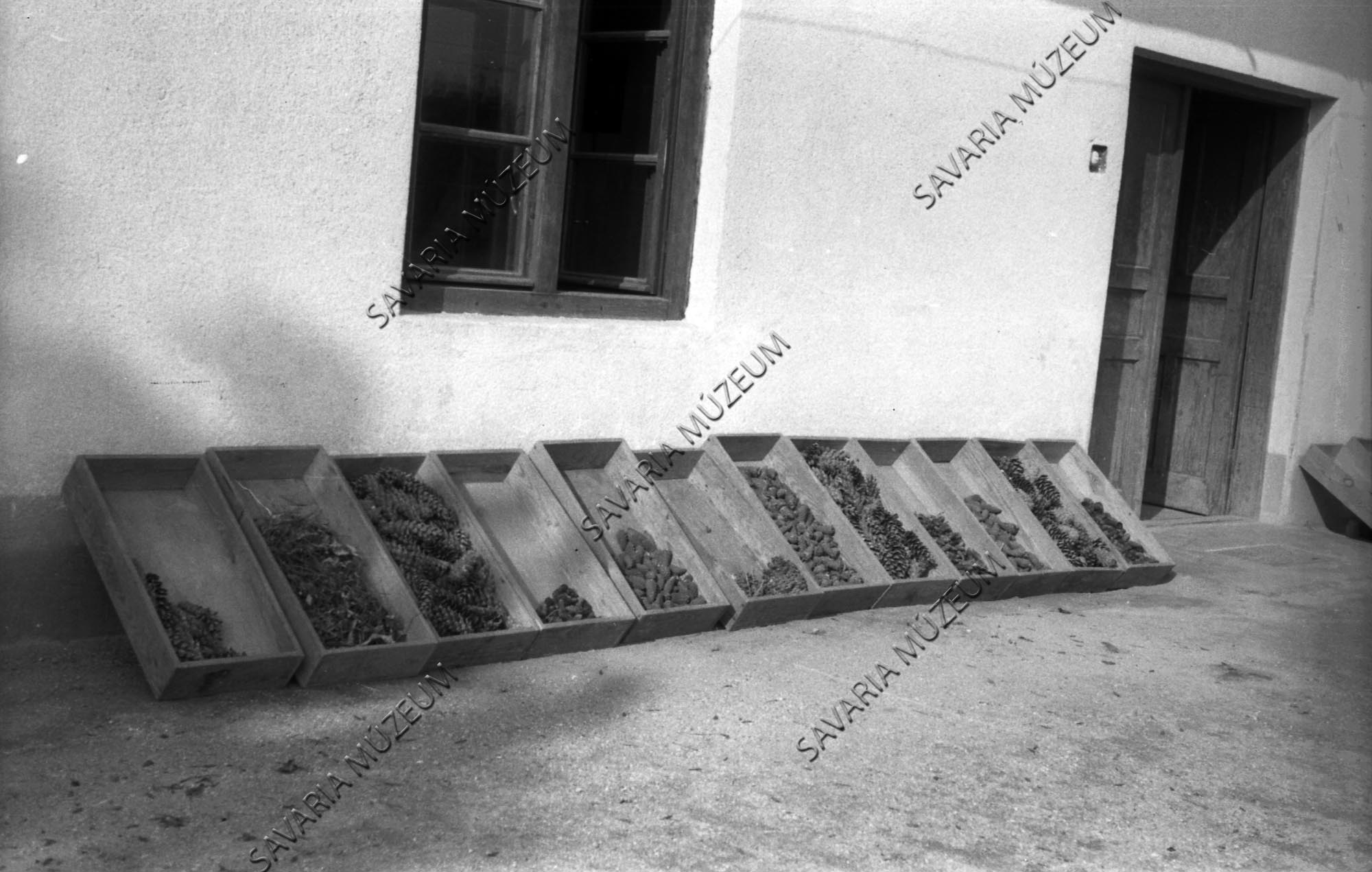 Toboz pergetés a napon (Savaria Megyei Hatókörű Városi Múzeum, Szombathely CC BY-NC-SA)