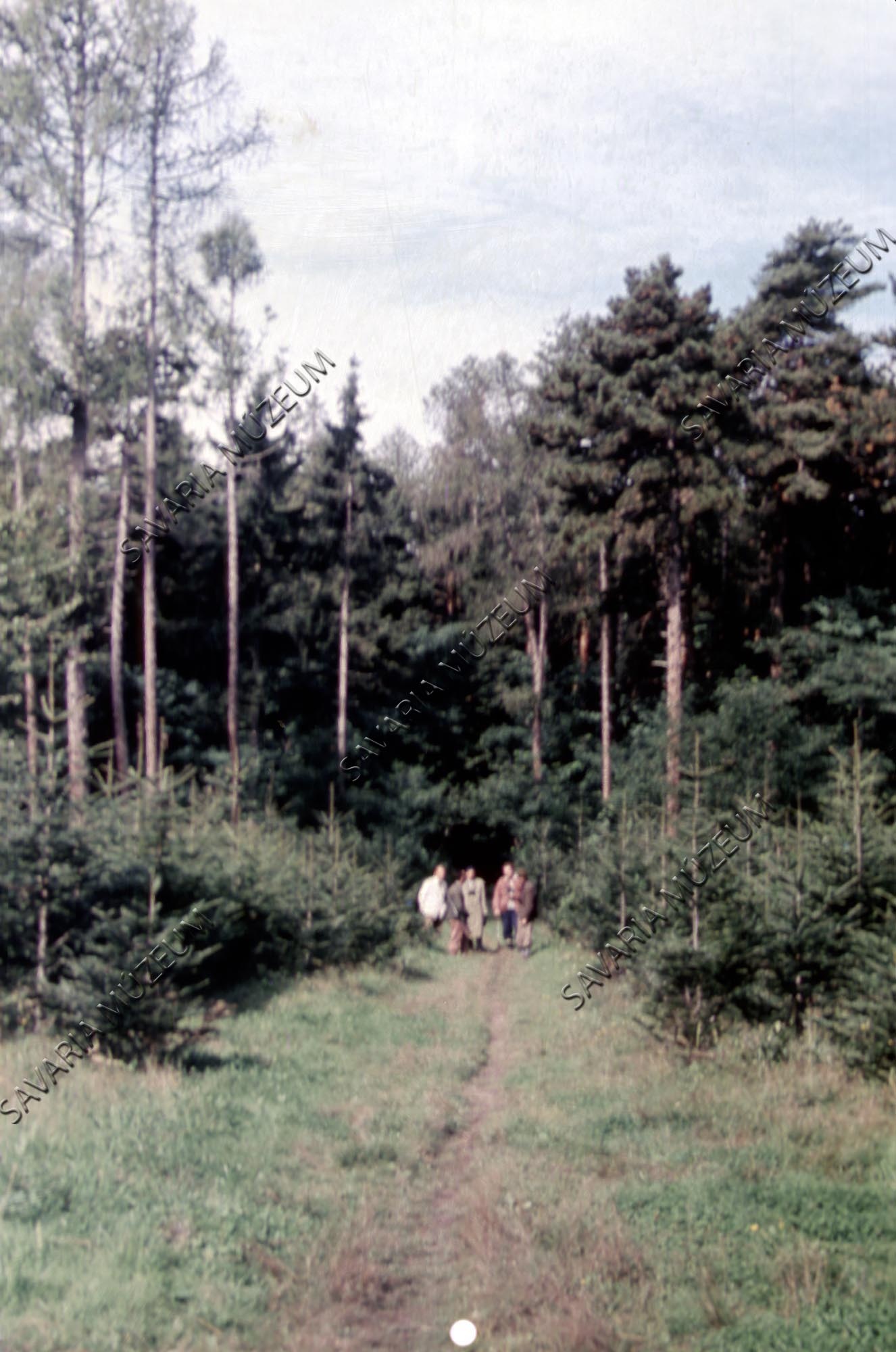 Fenyőerdő részlet vadászokkal (Savaria Megyei Hatókörű Városi Múzeum, Szombathely CC BY-NC-SA)