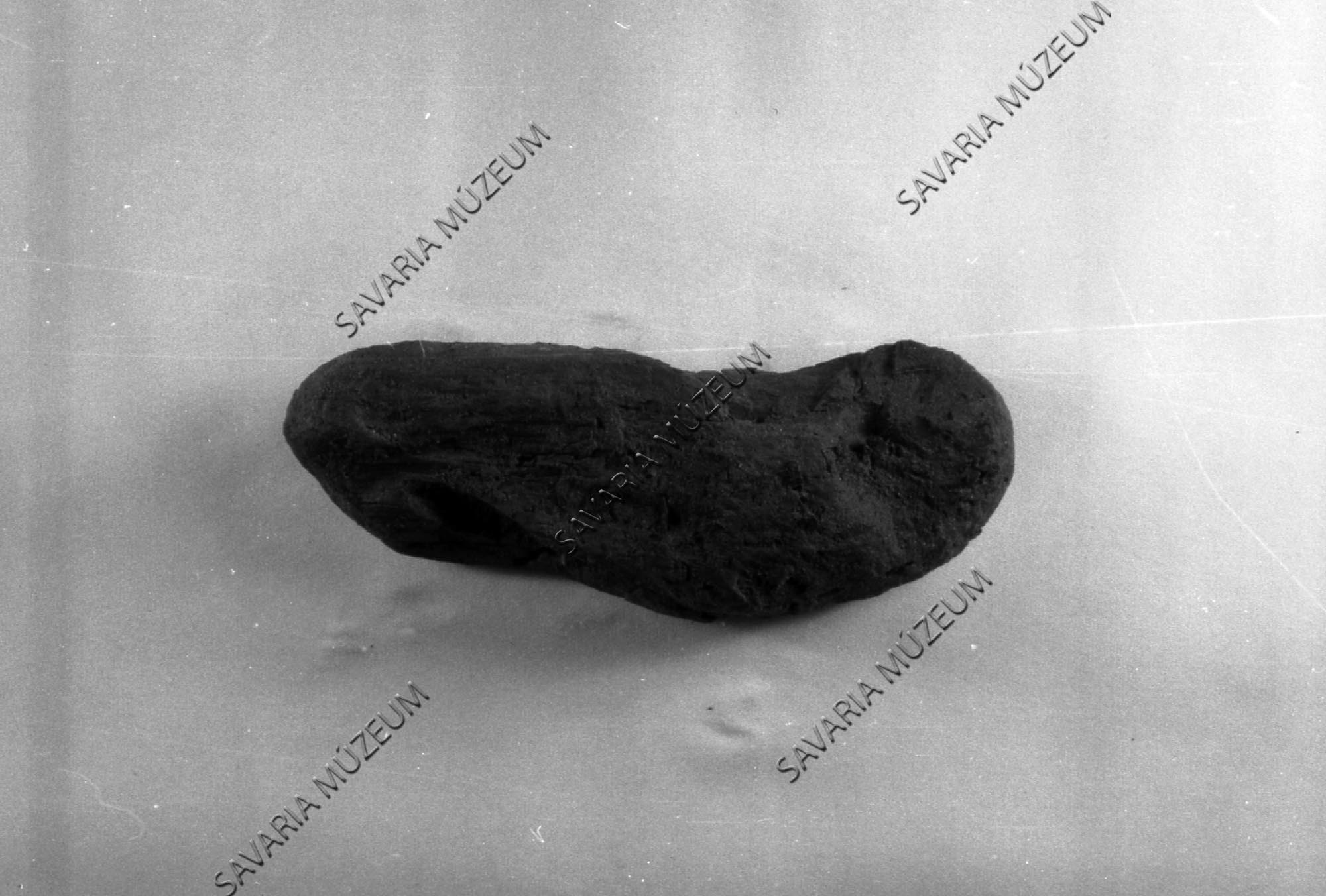 Lekoptatott prefosszilis famaradványok Rábahidvég alól a Rába magaspartjából. (Savaria Megyei Hatókörű Városi Múzeum, Szombathely CC BY-NC-SA)