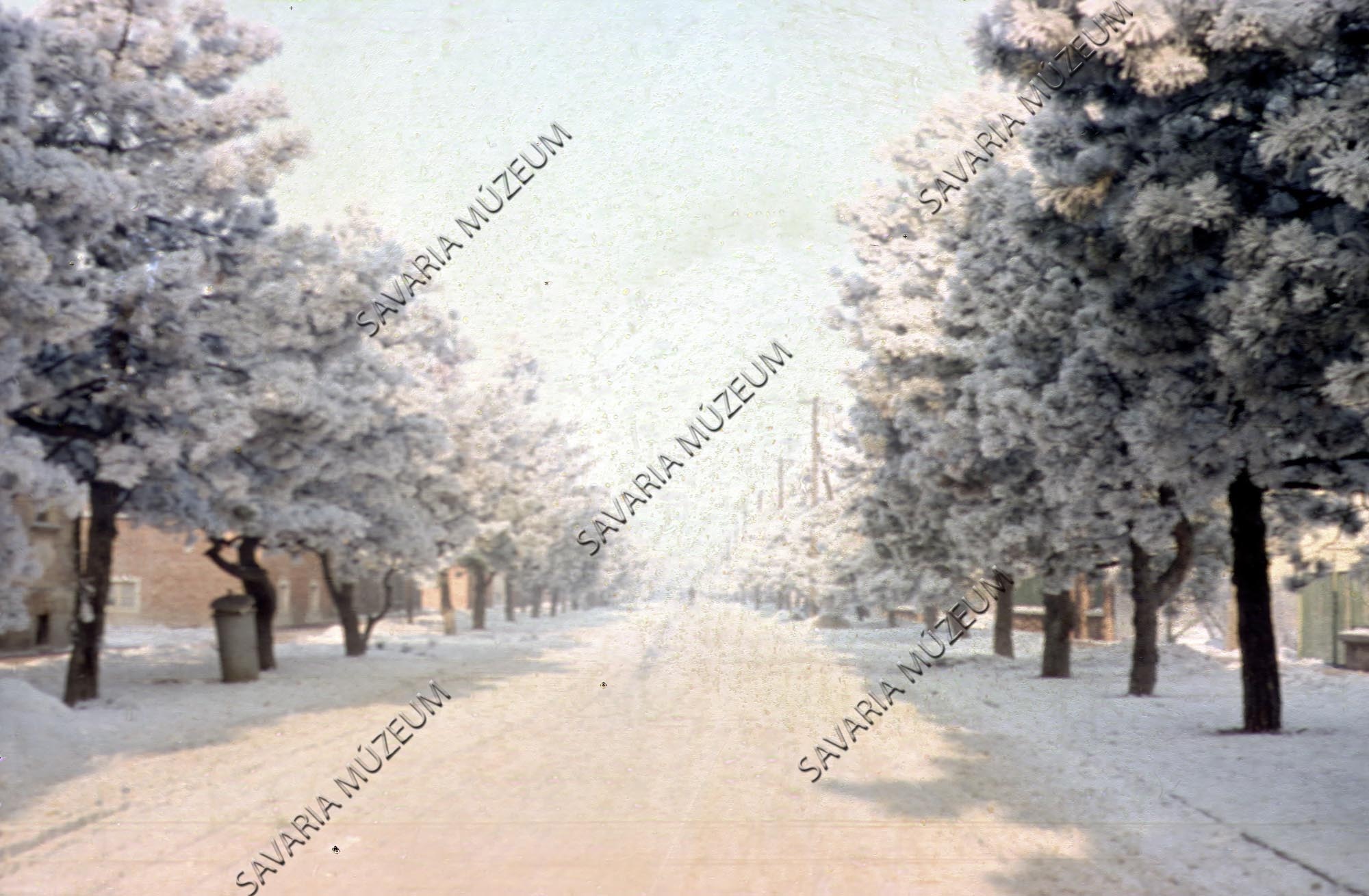 Hámán Kató utca télen (Savaria Megyei Hatókörű Városi Múzeum, Szombathely CC BY-NC-SA)