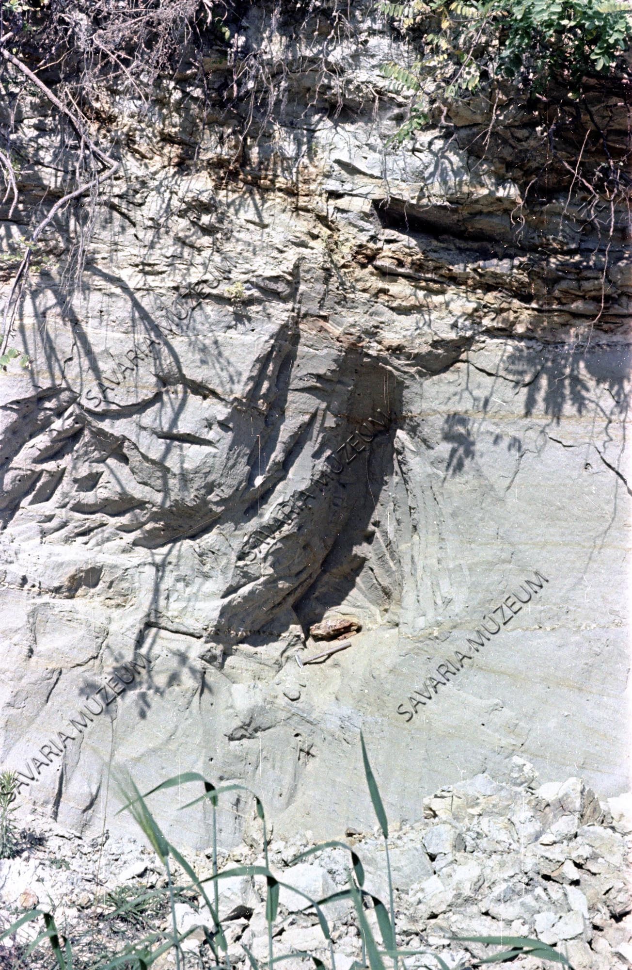 Agyar-töredék (Savaria Megyei Hatókörű Városi Múzeum, Szombathely CC BY-NC-SA)