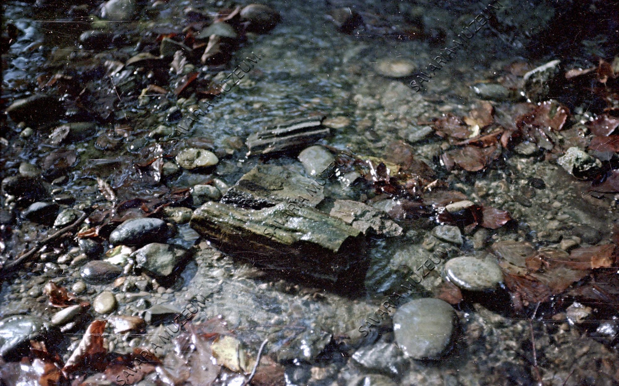 Kovásodott fa a patakban (Savaria Megyei Hatókörű Városi Múzeum, Szombathely CC BY-NC-SA)