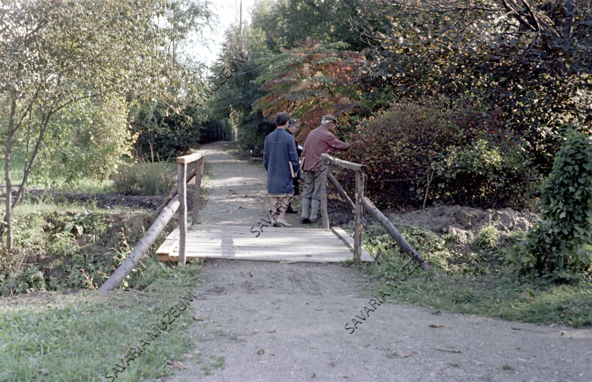 Andreánszky Gábor és Csapody Vera (Savaria Megyei Hatókörű Városi Múzeum, Szombathely CC BY-NC-SA)