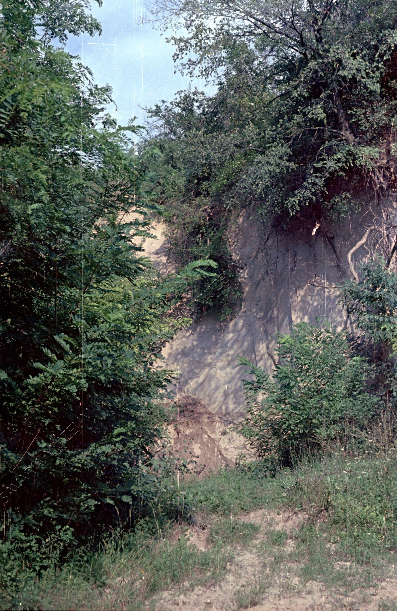 Homokbánya (Savaria Megyei Hatókörű Városi Múzeum, Szombathely CC BY-NC-SA)