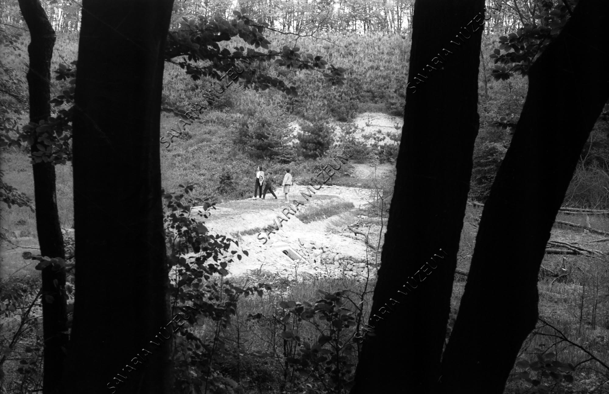 Arborétum alsó gátja (Savaria Megyei Hatókörű Városi Múzeum, Szombathely CC BY-NC-SA)
