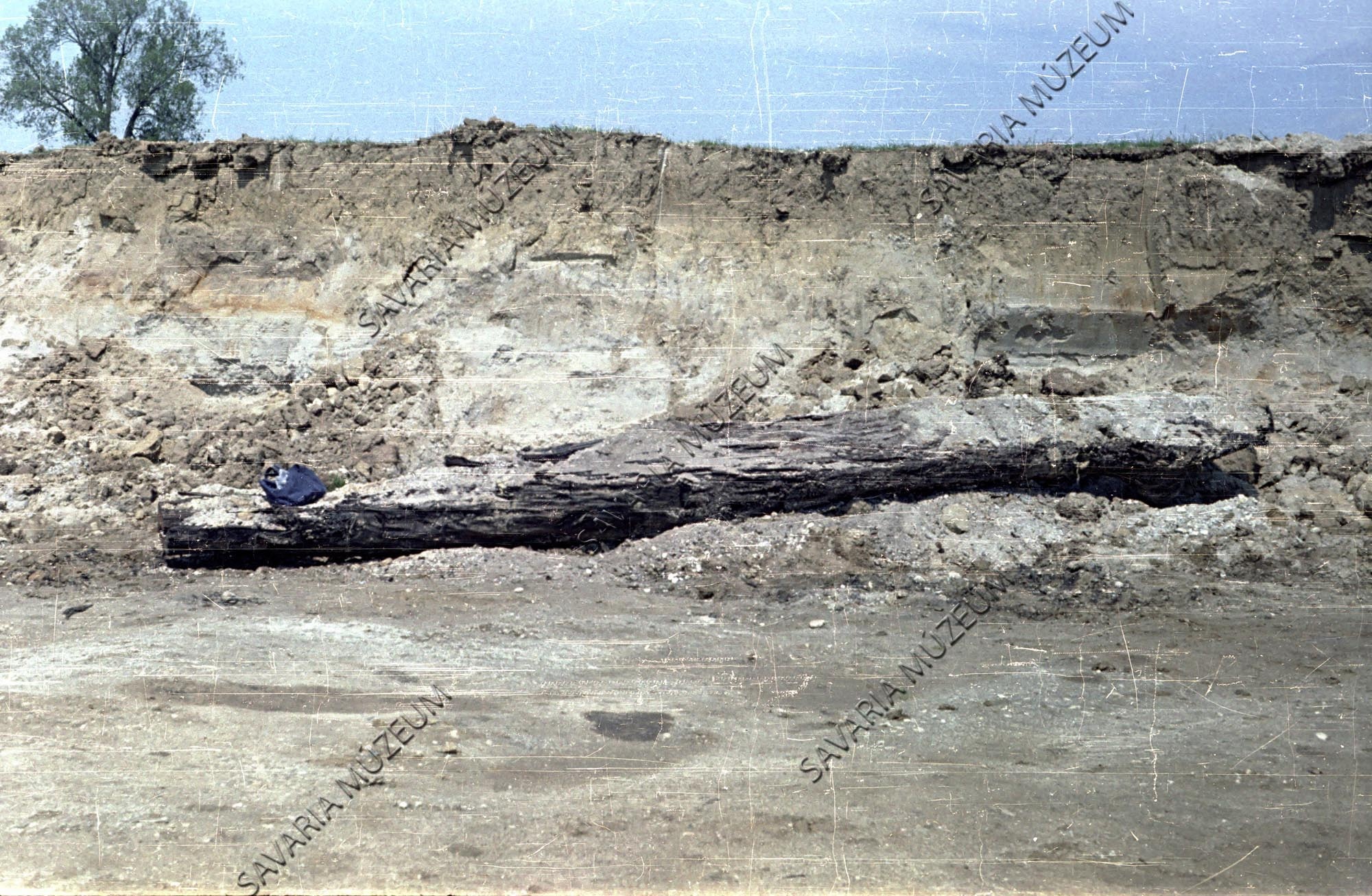 Kavicsból előkerült farönk (Savaria Megyei Hatókörű Városi Múzeum, Szombathely CC BY-NC-SA)