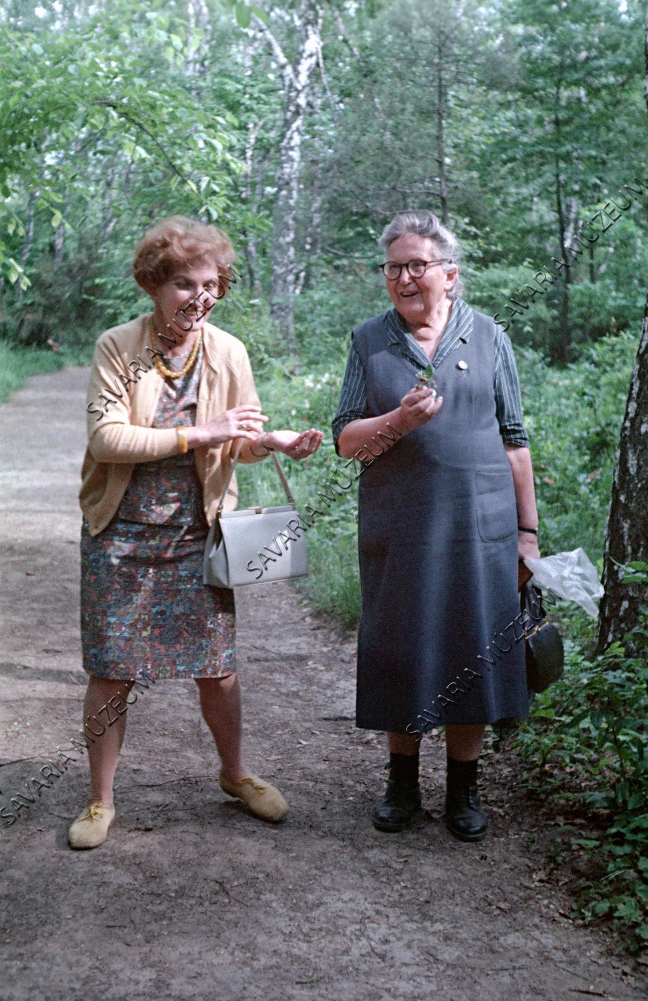 Clusius nap vendégei: Dr. Kalmár Zoltánné és Dr. Csapody Vera (Savaria Megyei Hatókörű Városi Múzeum, Szombathely CC BY-NC-SA)