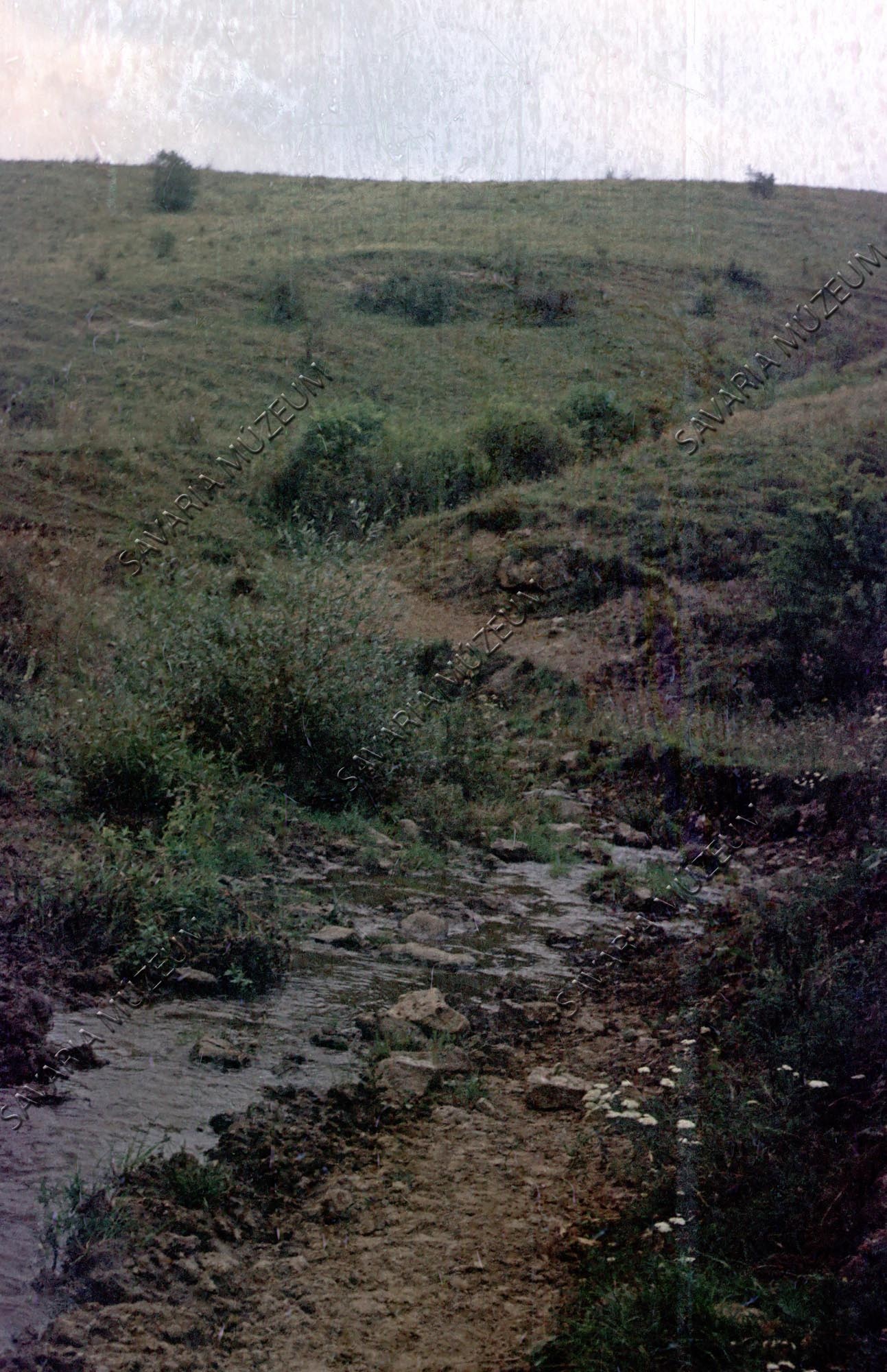 Répás (Gilip)-patak völgye (Savaria Megyei Hatókörű Városi Múzeum, Szombathely CC BY-NC-SA)