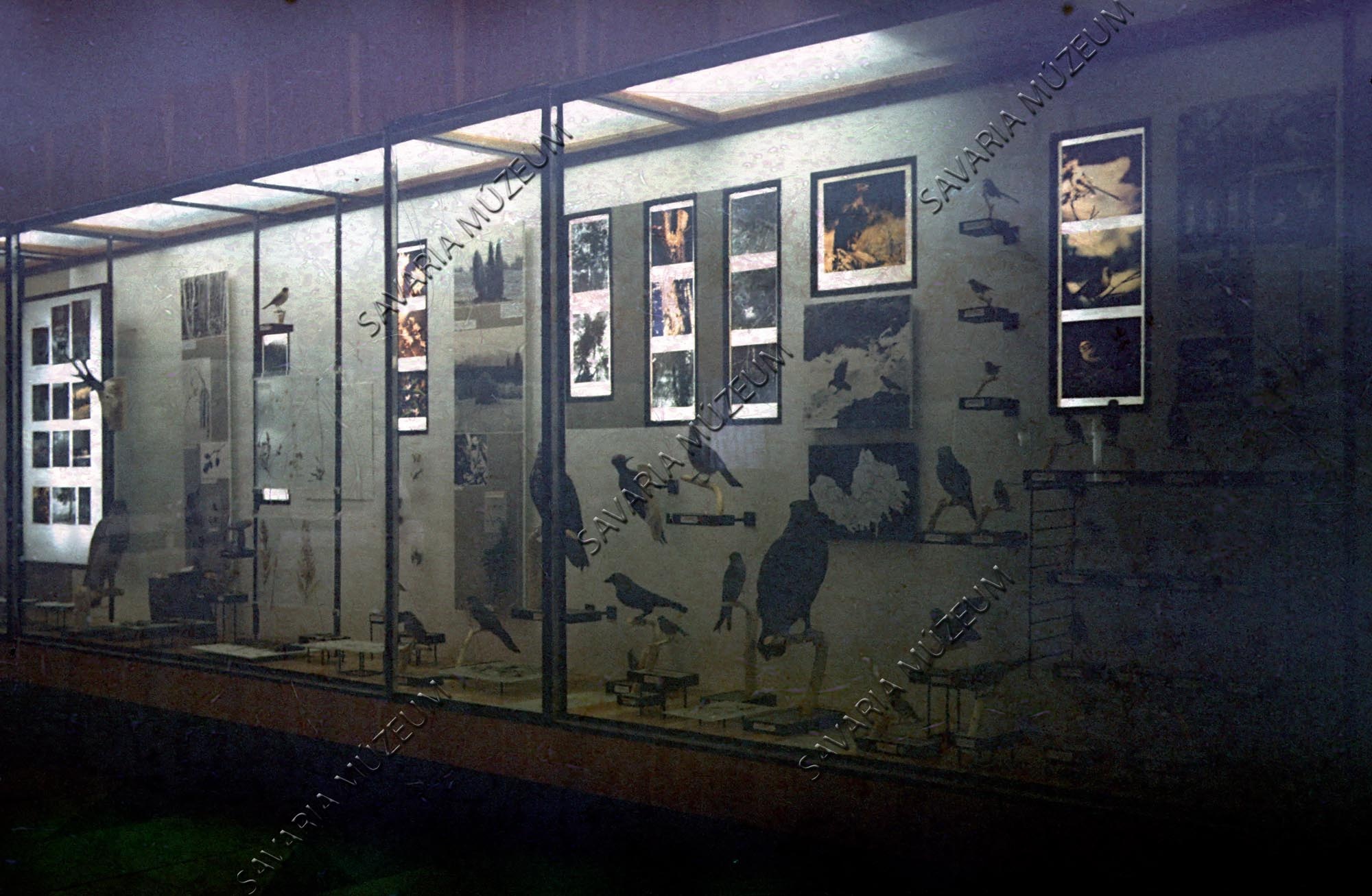 Tátrai Múzeum részlete (Savaria Megyei Hatókörű Városi Múzeum, Szombathely CC BY-NC-SA)