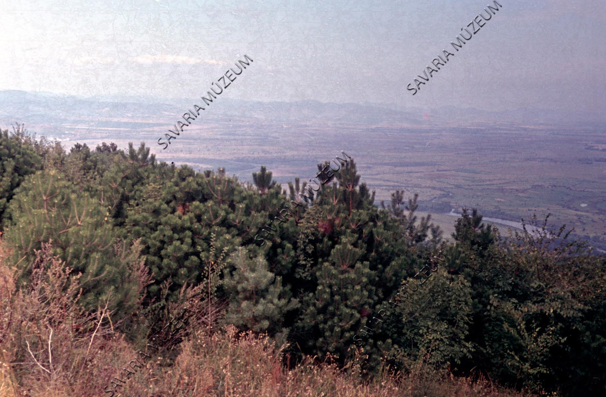 Zempléni-hegység látképe (Savaria Megyei Hatókörű Városi Múzeum, Szombathely CC BY-NC-SA)