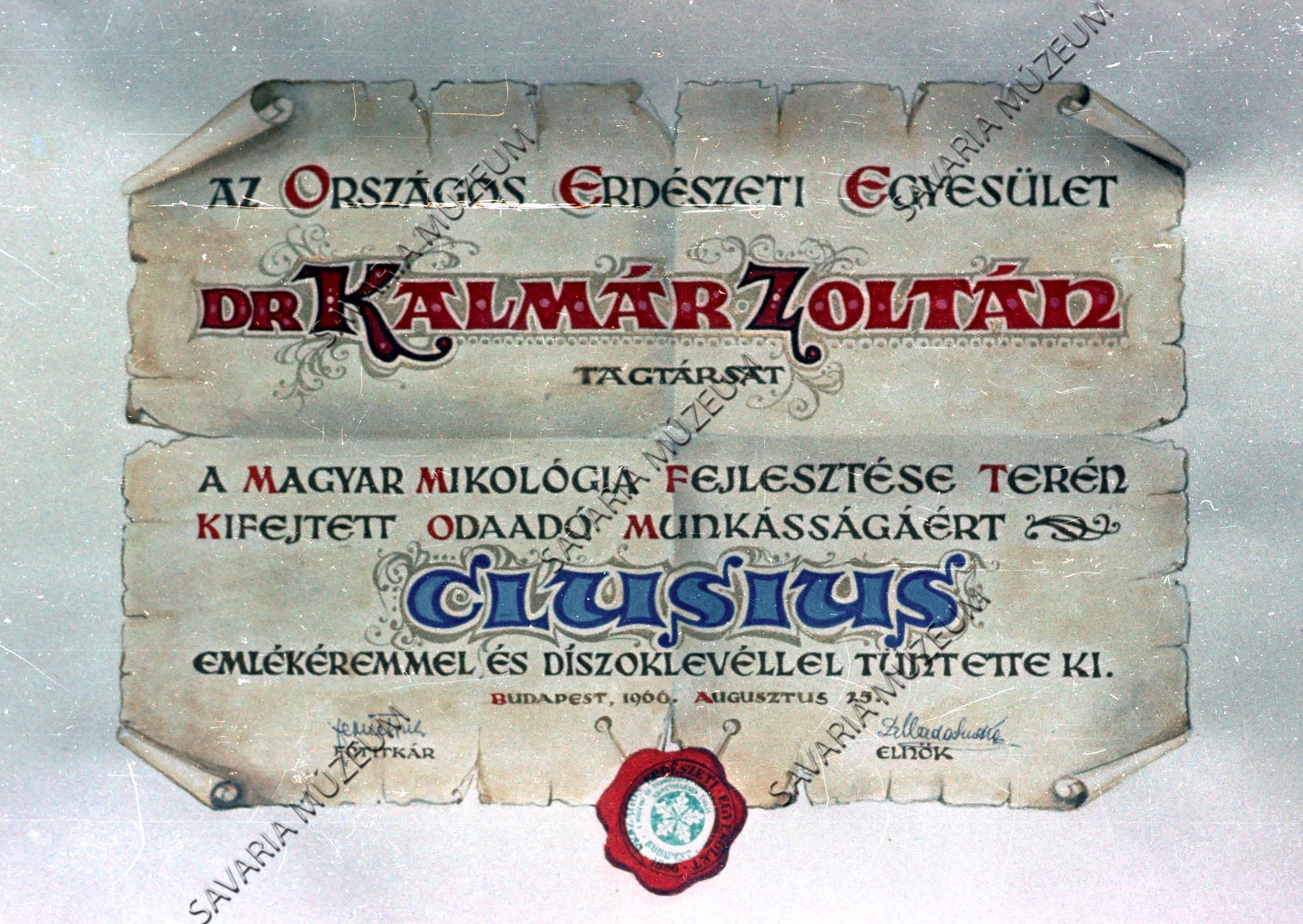 Clusius emlékérmes lapja (Savaria Megyei Hatókörű Városi Múzeum, Szombathely CC BY-NC-SA)
