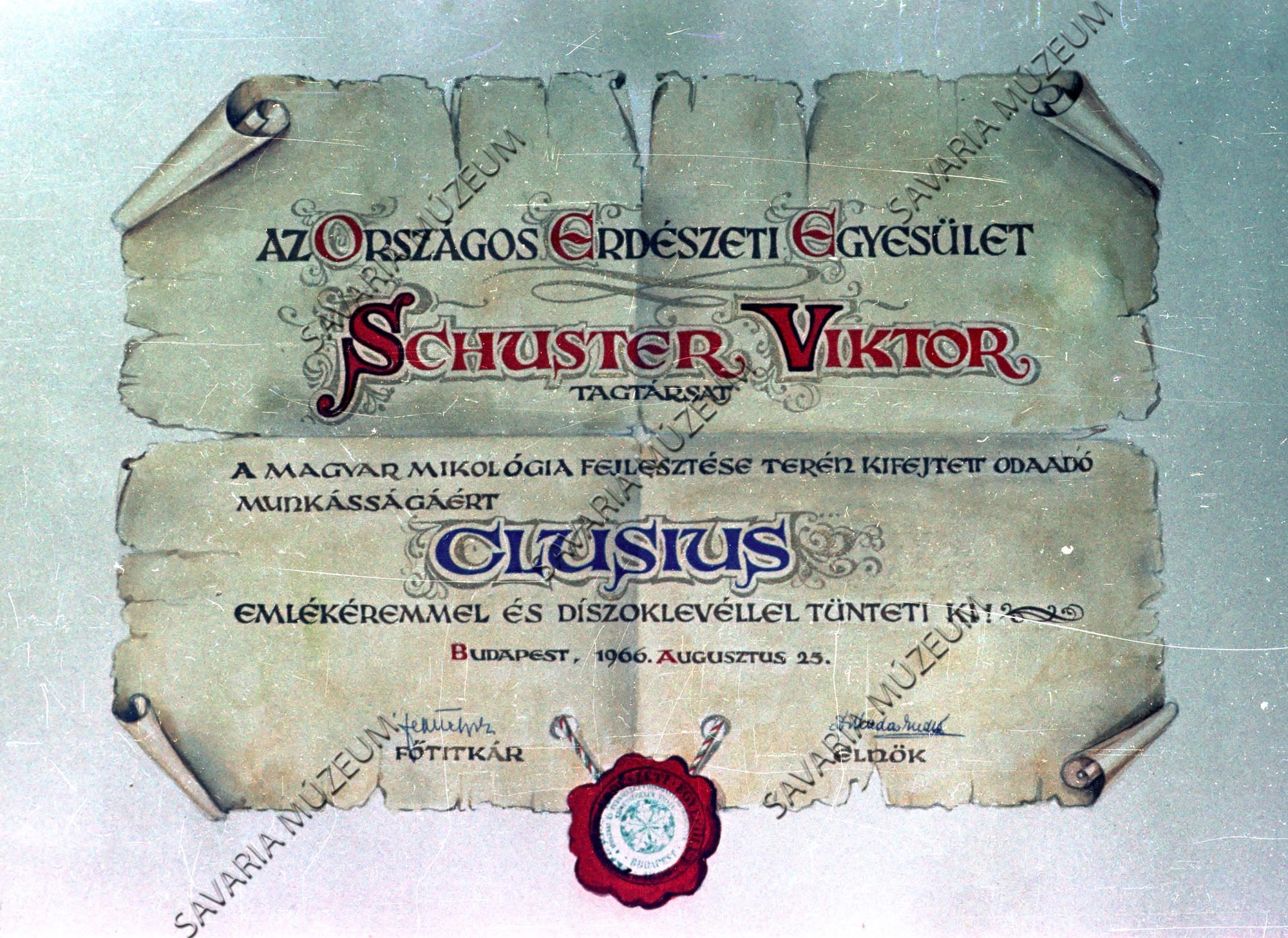 Clusius emlékérmes lapja (Savaria Megyei Hatókörű Városi Múzeum, Szombathely CC BY-NC-SA)