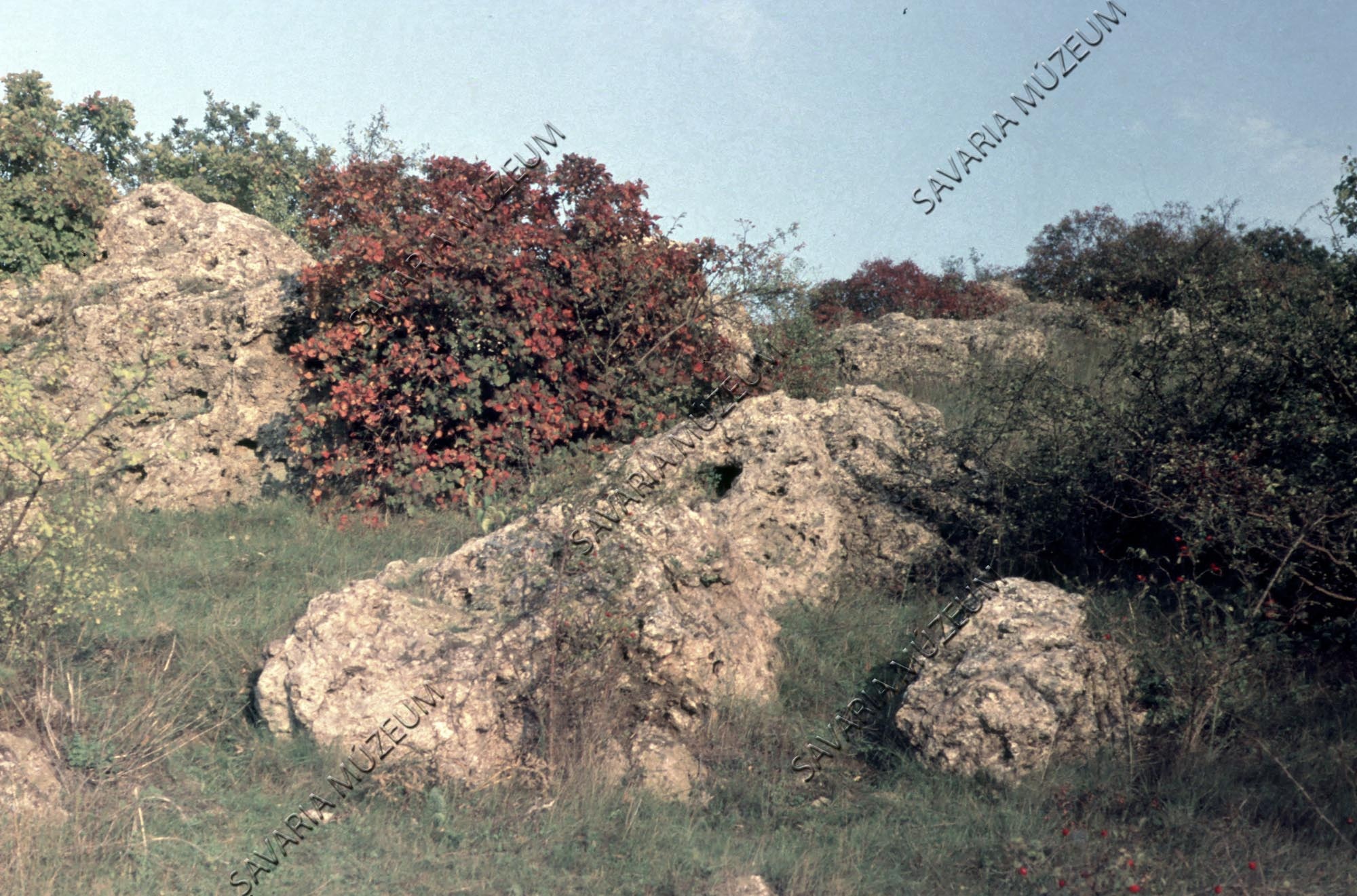 Tihanyi táj (Savaria Megyei Hatókörű Városi Múzeum, Szombathely CC BY-NC-SA)