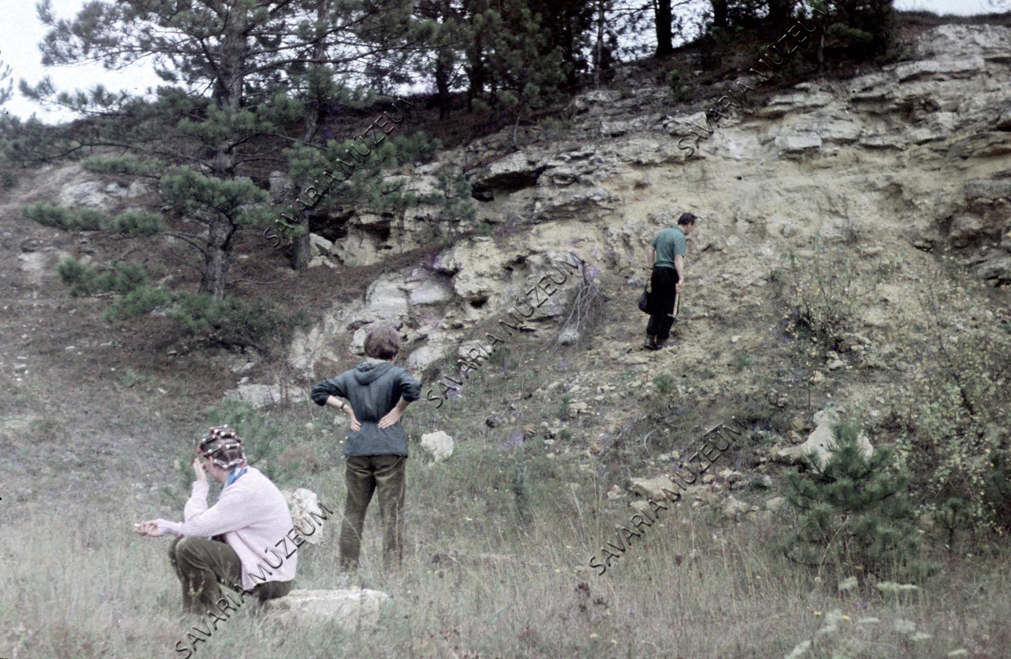 Mésztufa feltárás (Savaria Megyei Hatókörű Városi Múzeum, Szombathely CC BY-NC-SA)
