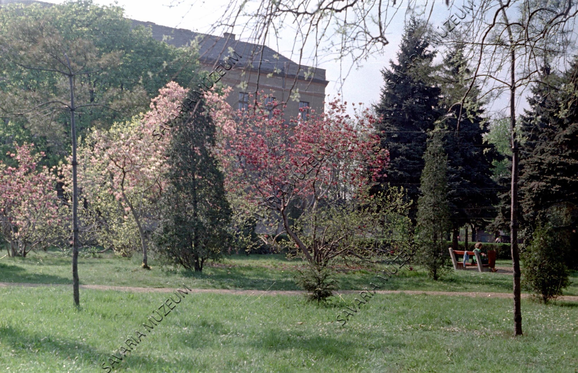 Gáyer-park (Savaria Megyei Hatókörű Városi Múzeum, Szombathely CC BY-NC-SA)