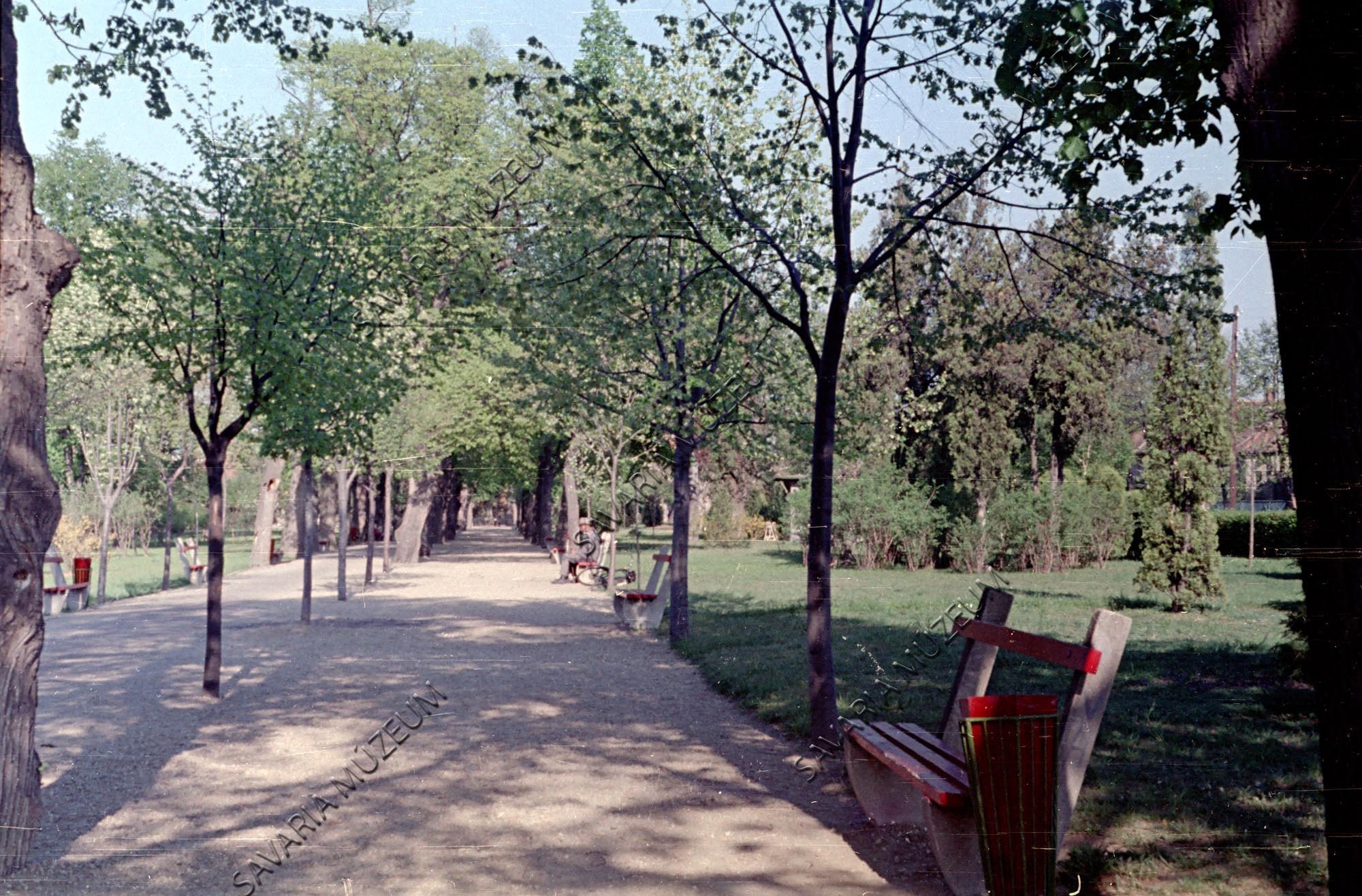 Termál előtti park (Savaria Megyei Hatókörű Városi Múzeum, Szombathely CC BY-NC-SA)