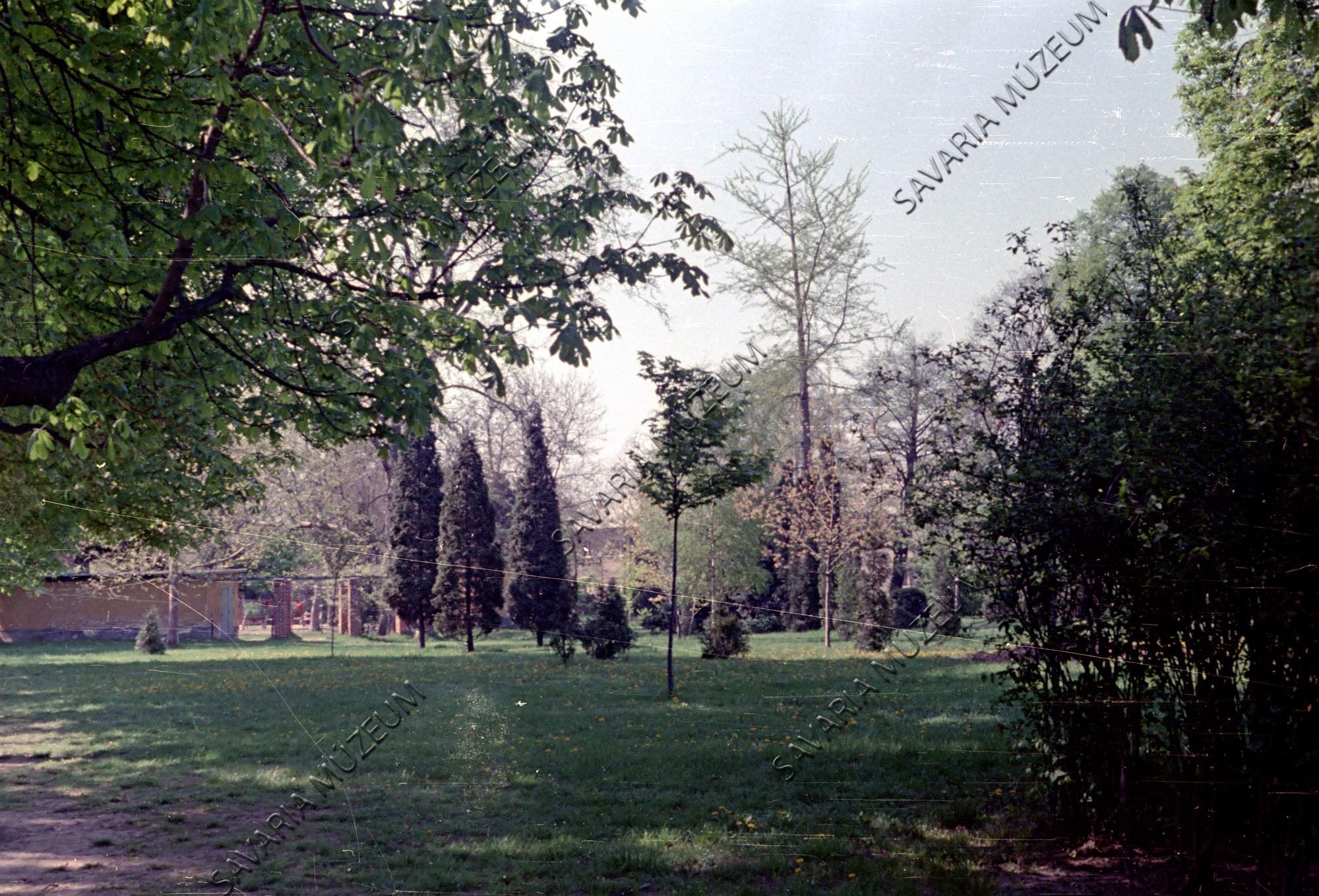 Puskin-park (Savaria Megyei Hatókörű Városi Múzeum, Szombathely CC BY-NC-SA)
