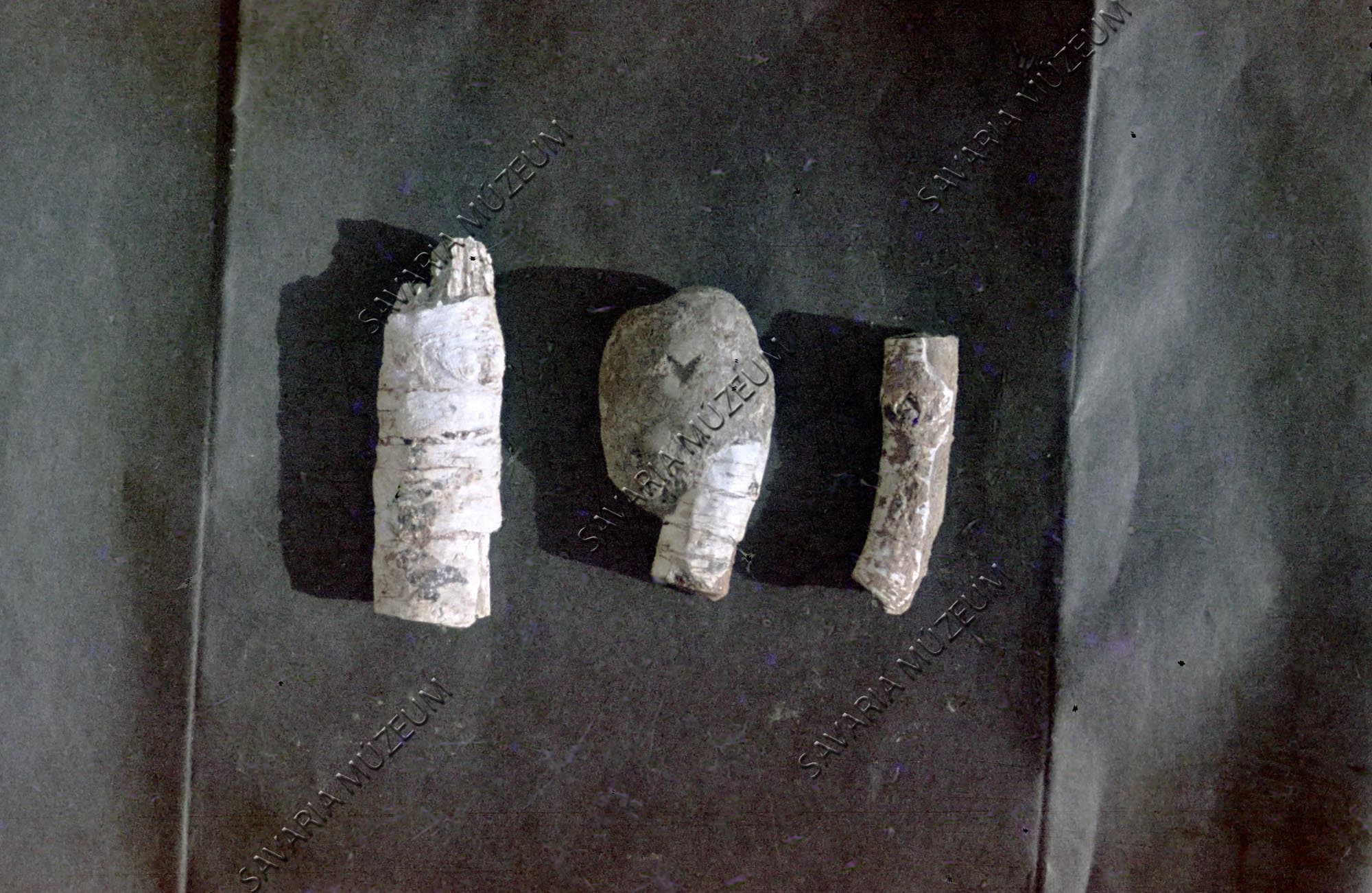 Megyaszói famaradványok (Savaria Megyei Hatókörű Városi Múzeum, Szombathely CC BY-NC-SA)