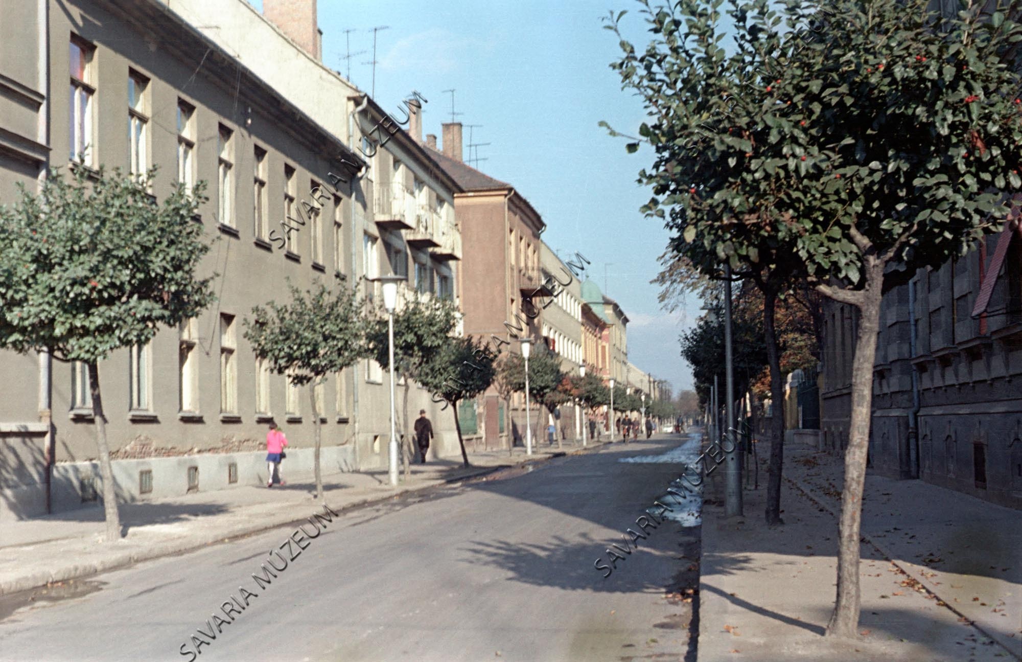 Wesselényi utcai fasor (Savaria Megyei Hatókörű Városi Múzeum, Szombathely CC BY-NC-SA)