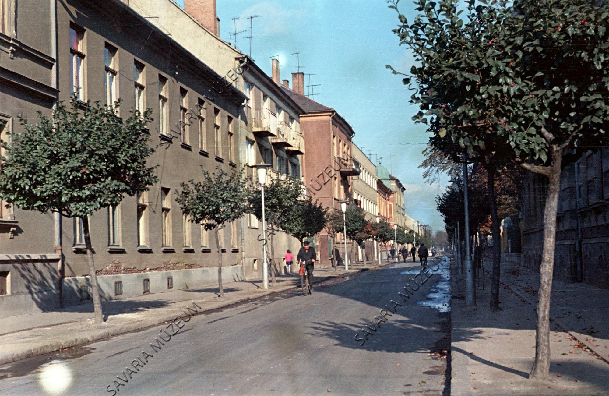 Wesselényi utcai fasor (Savaria Megyei Hatókörű Városi Múzeum, Szombathely CC BY-NC-SA)
