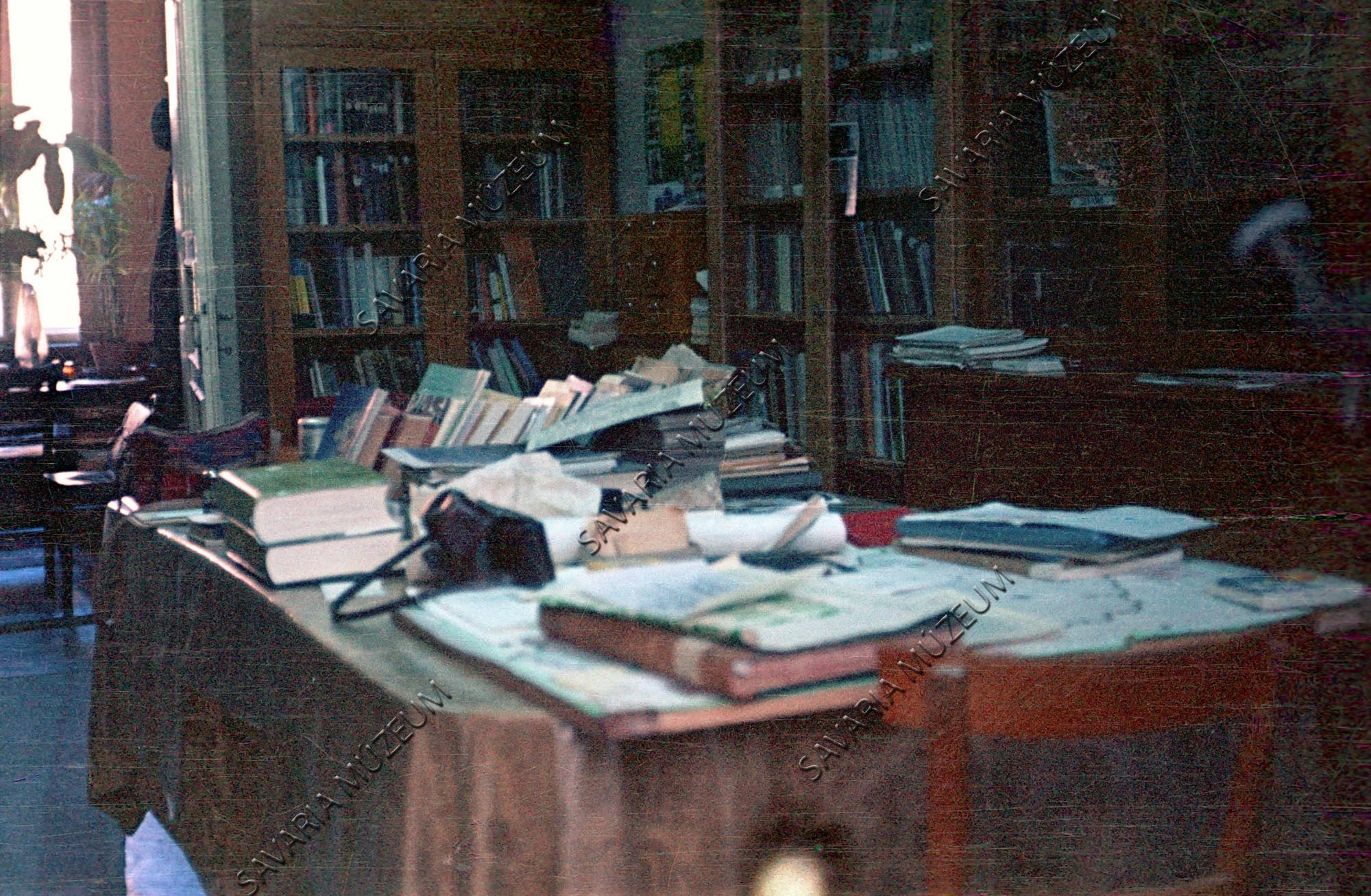 Könyvtár részlet a Savaria Múzeum Természettudományi Osztályán (Savaria Megyei Hatókörű Városi Múzeum, Szombathely CC BY-NC-SA)