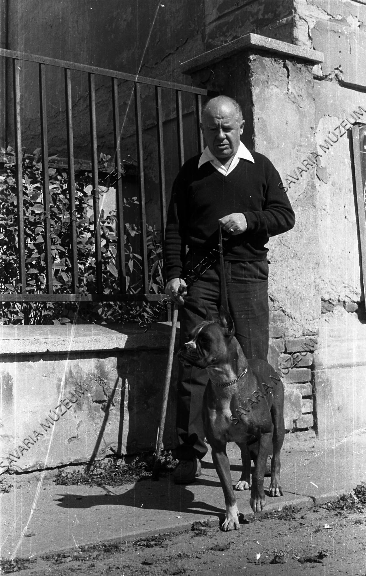 Blatt László kutyájával (Savaria Megyei Hatókörű Városi Múzeum, Szombathely CC BY-NC-SA)
