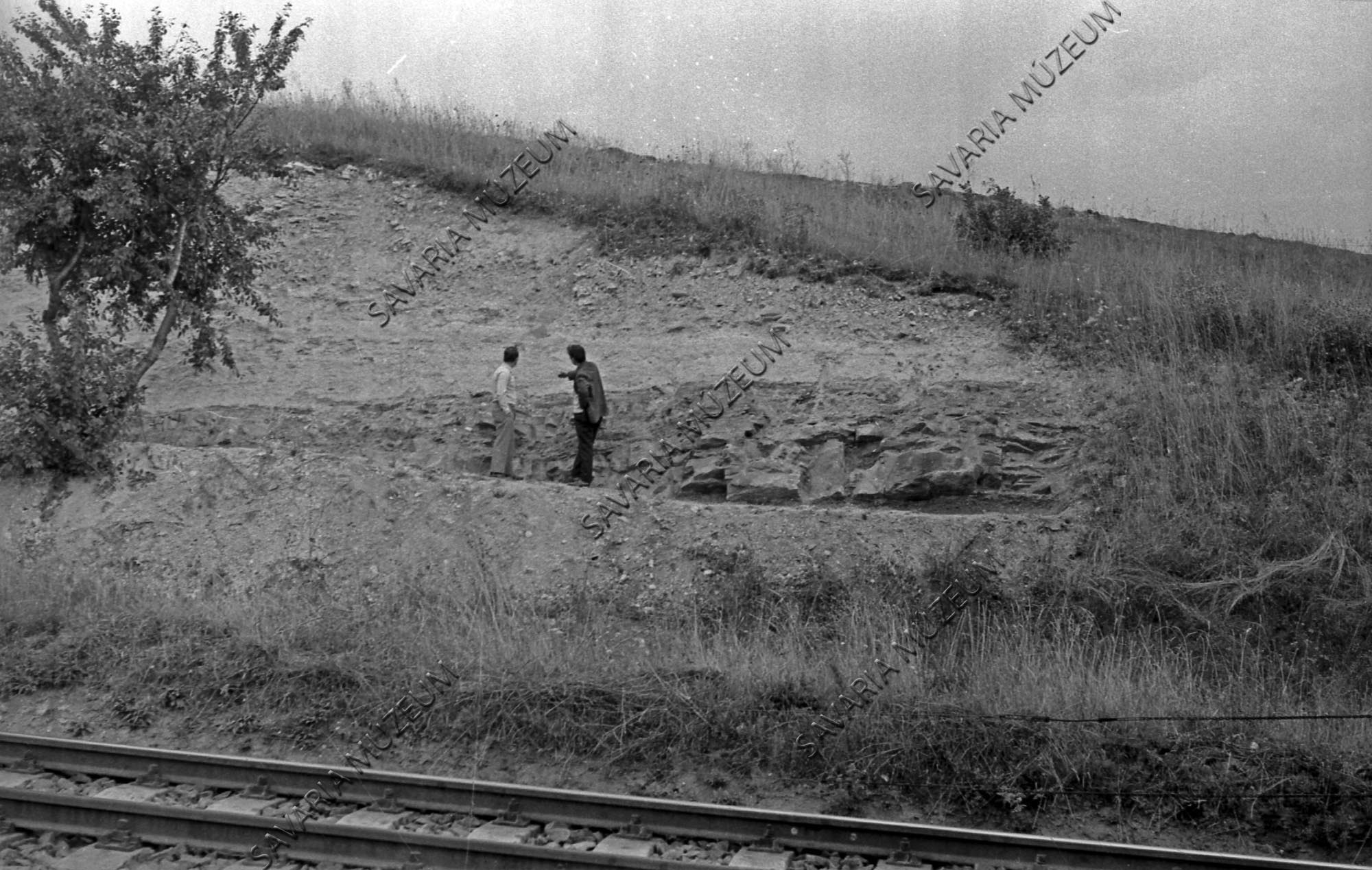 Szilur rétegek (Savaria Megyei Hatókörű Városi Múzeum, Szombathely CC BY-NC-SA)