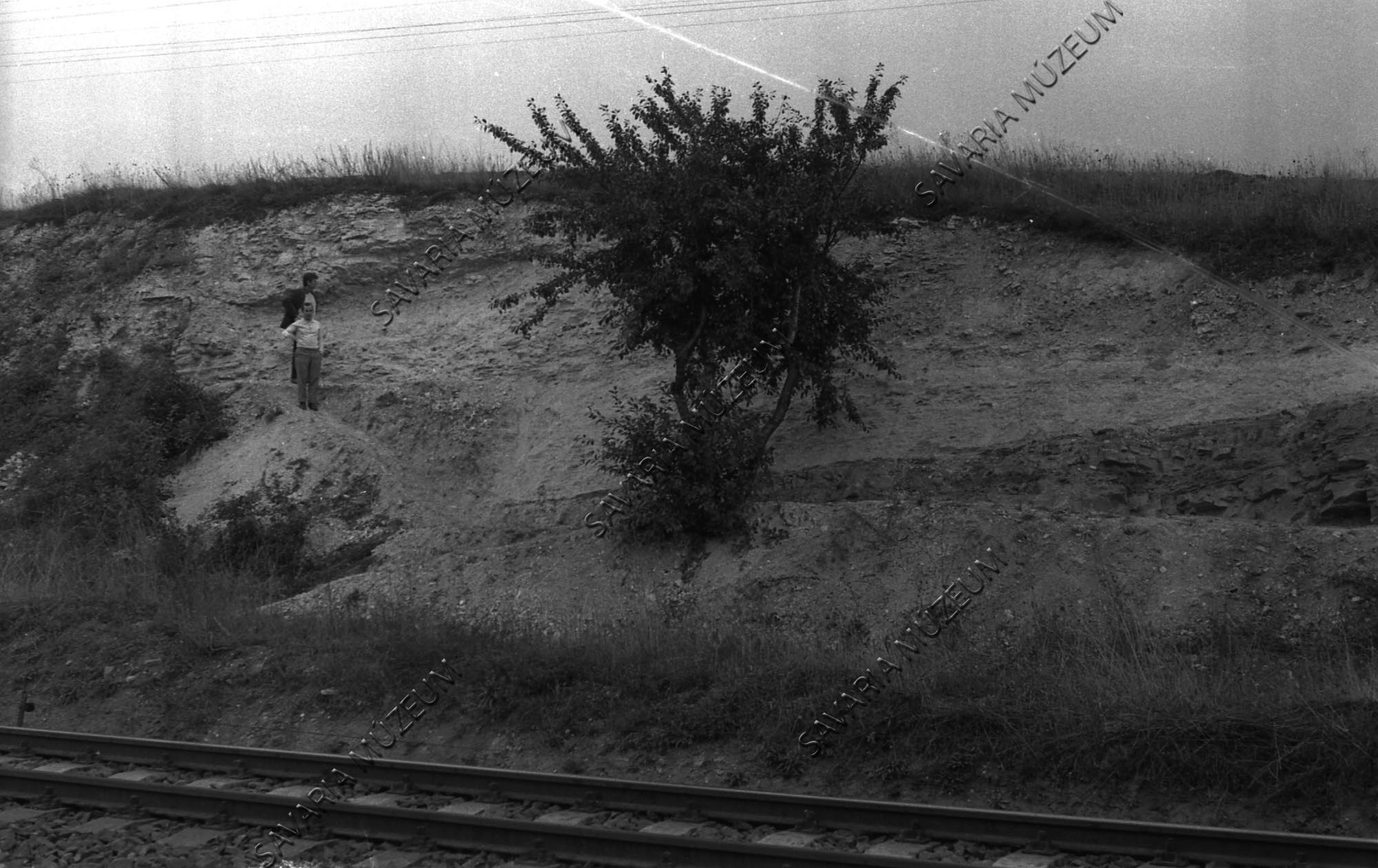 Szilur rétegek (Savaria Megyei Hatókörű Városi Múzeum, Szombathely CC BY-NC-SA)