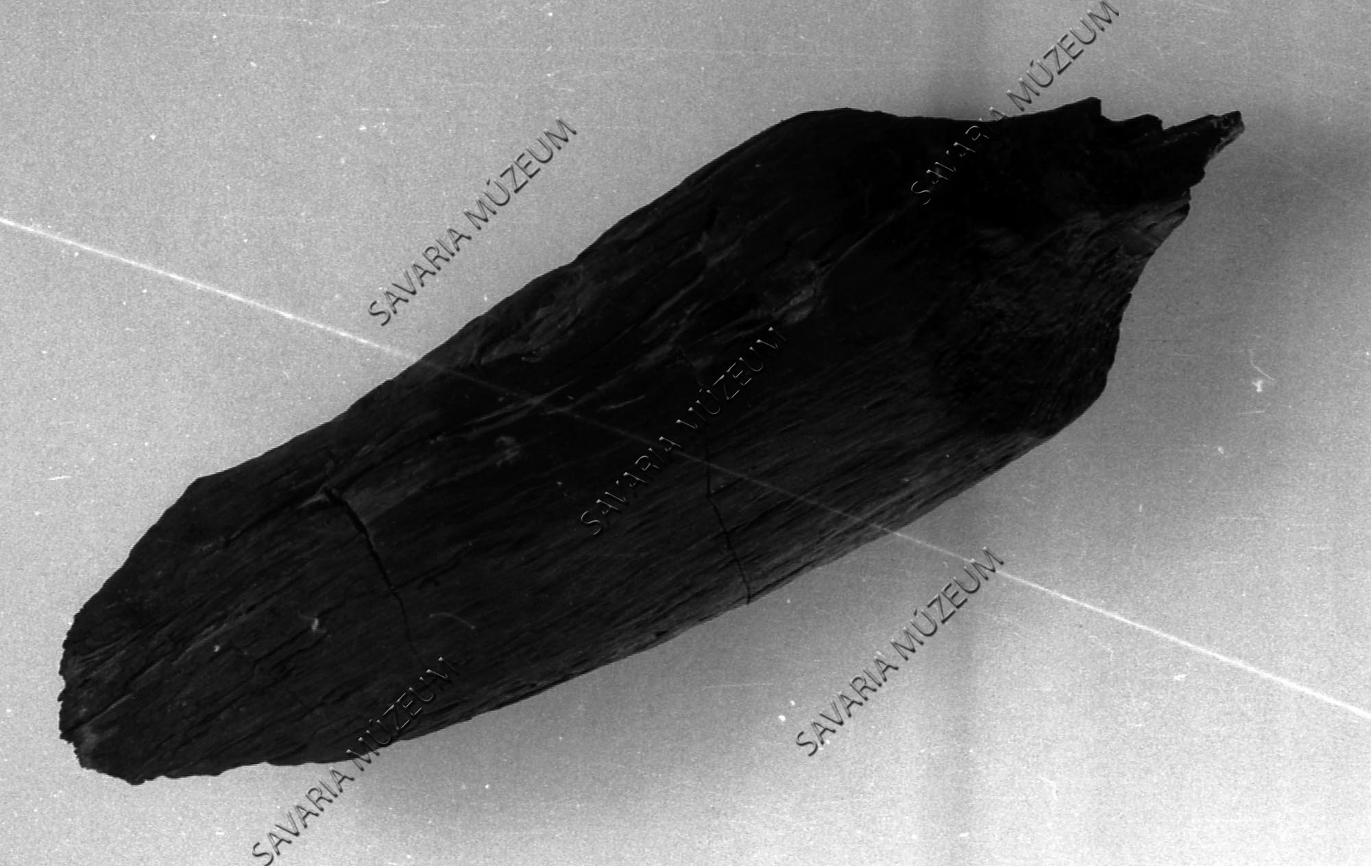 Hód rágta famaradvány (Savaria Megyei Hatókörű Városi Múzeum, Szombathely CC BY-NC-SA)
