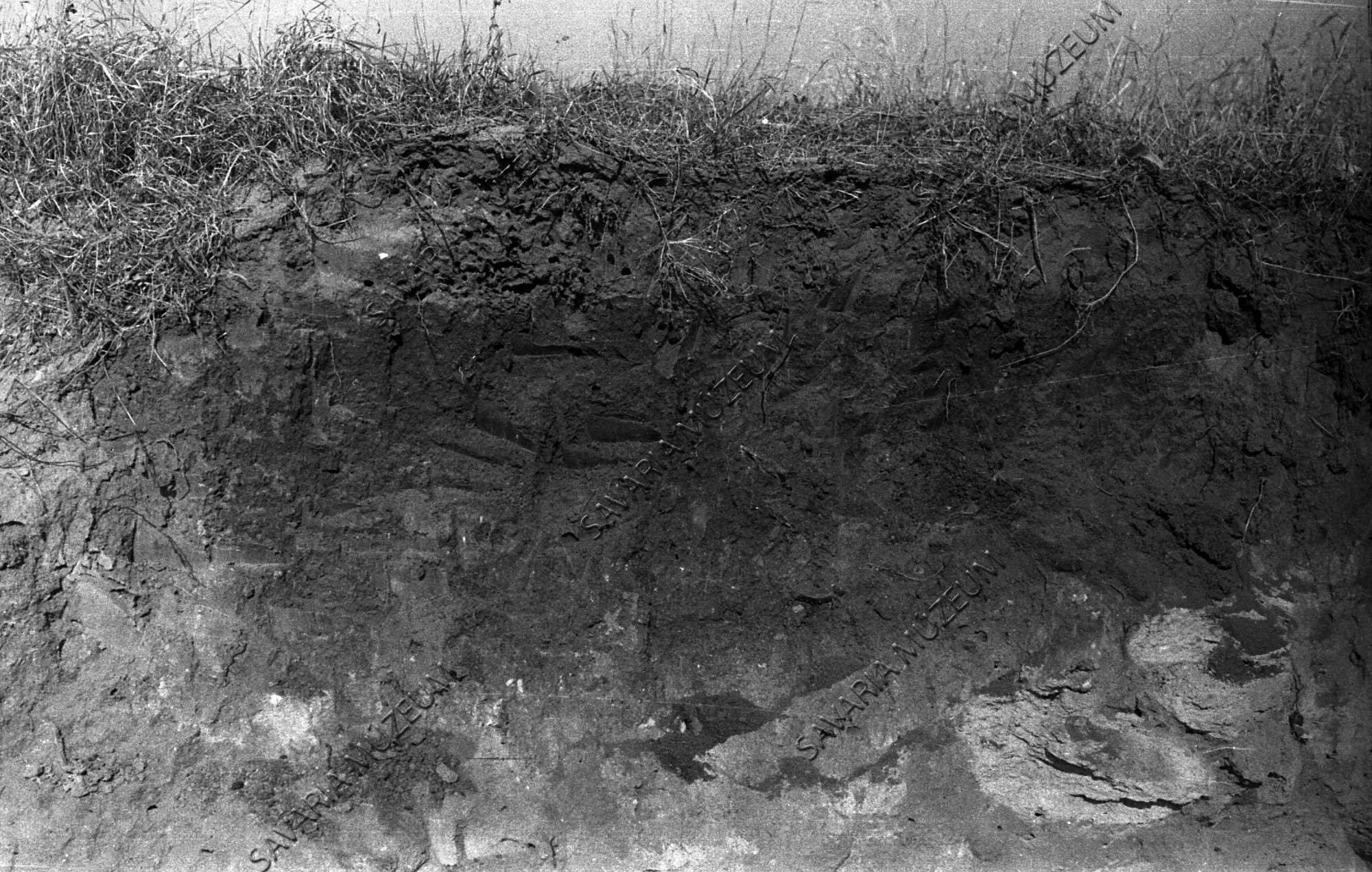 Őskori lelőhely (Savaria Megyei Hatókörű Városi Múzeum, Szombathely CC BY-NC-SA)