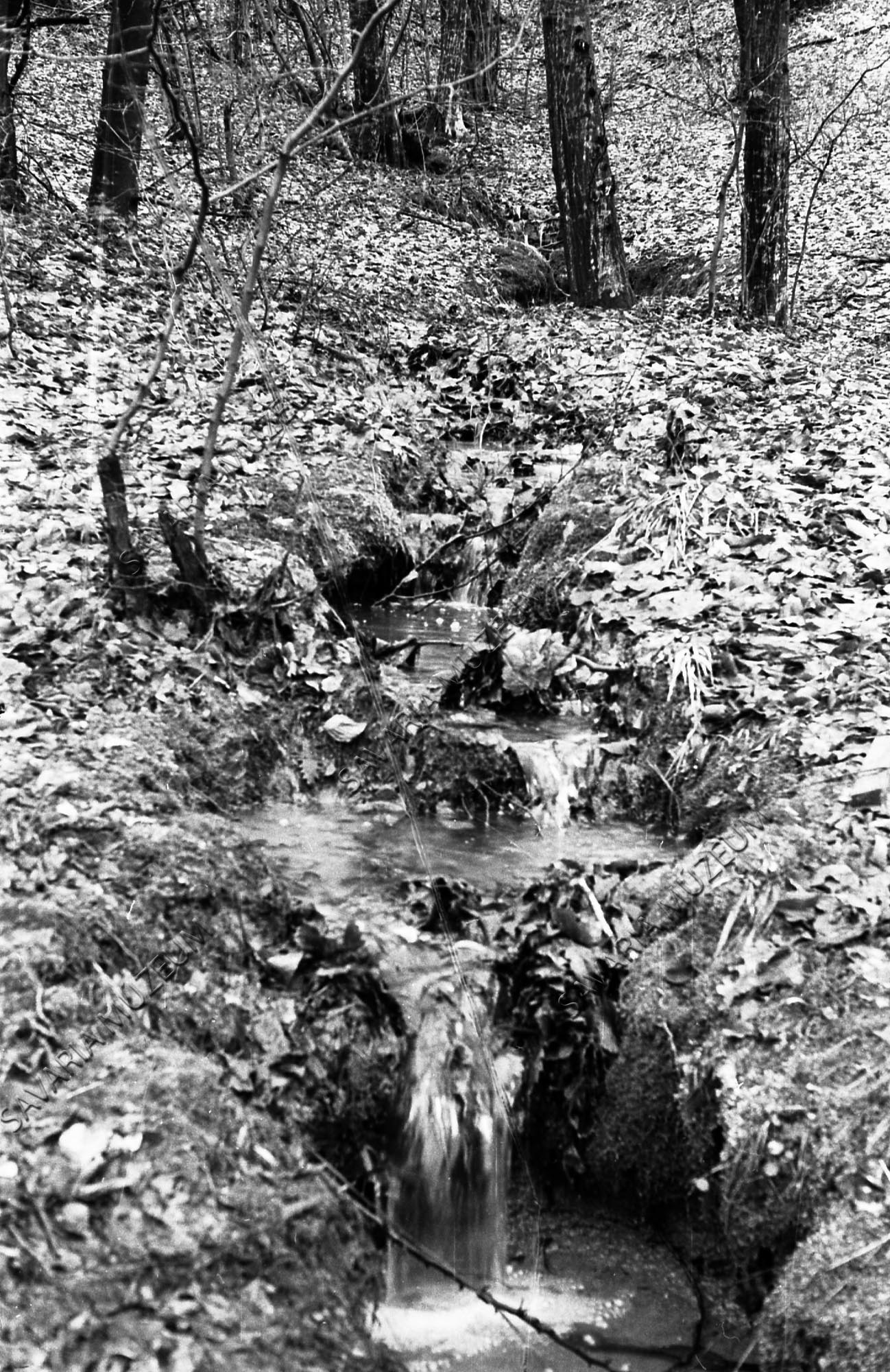 Csörgedező patak (Savaria Megyei Hatókörű Városi Múzeum, Szombathely CC BY-NC-SA)