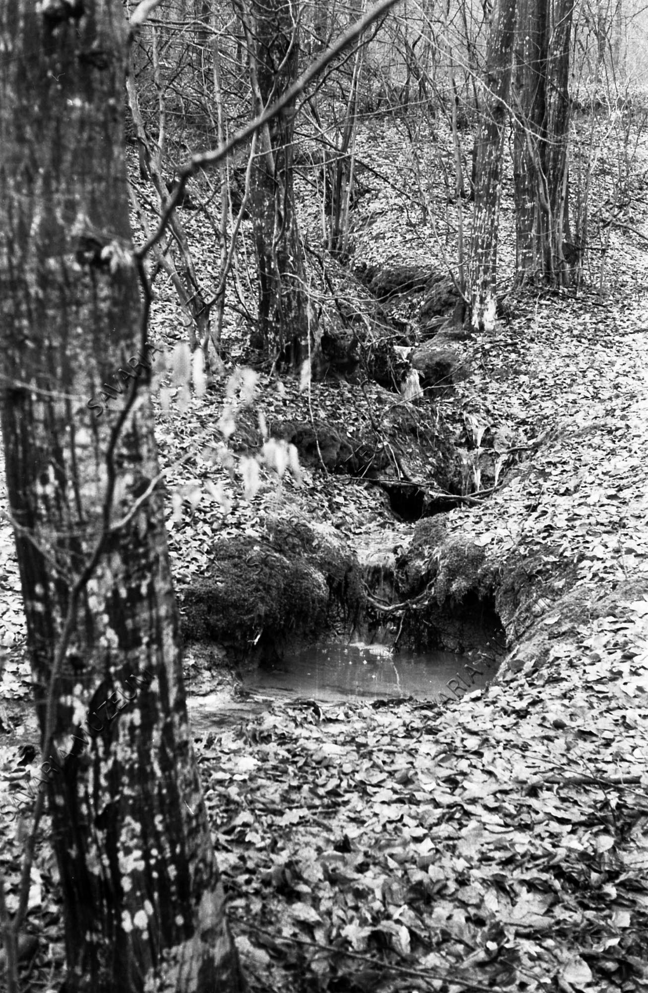 Csörgedező patak (Savaria Megyei Hatókörű Városi Múzeum, Szombathely CC BY-NC-SA)